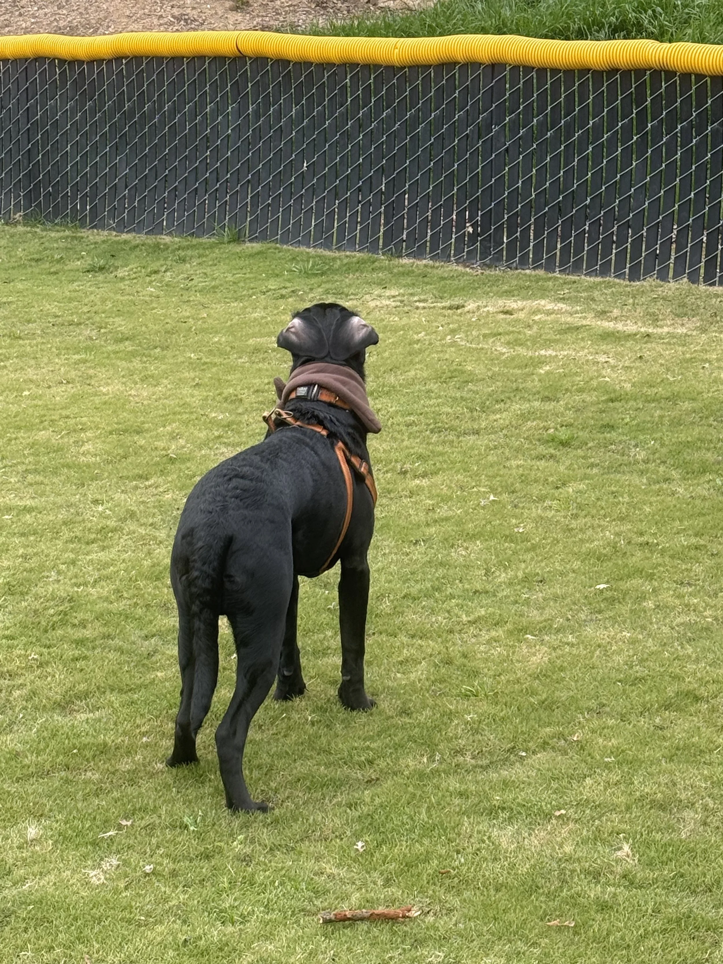 Longer Than Usual, But I Think Y’all Will Still Like It!