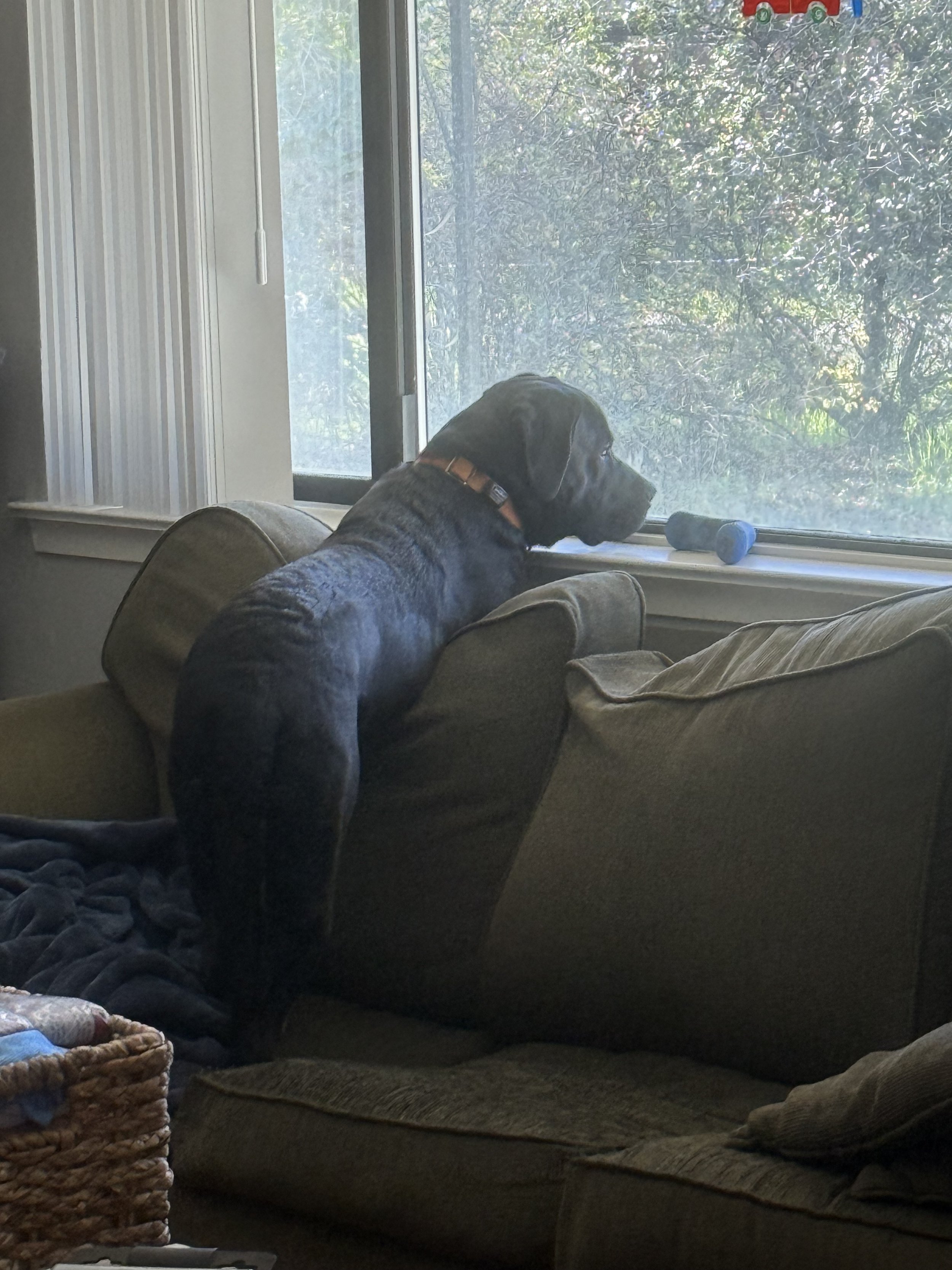 I Thought Waxing Was a Great Idea…It Was Not