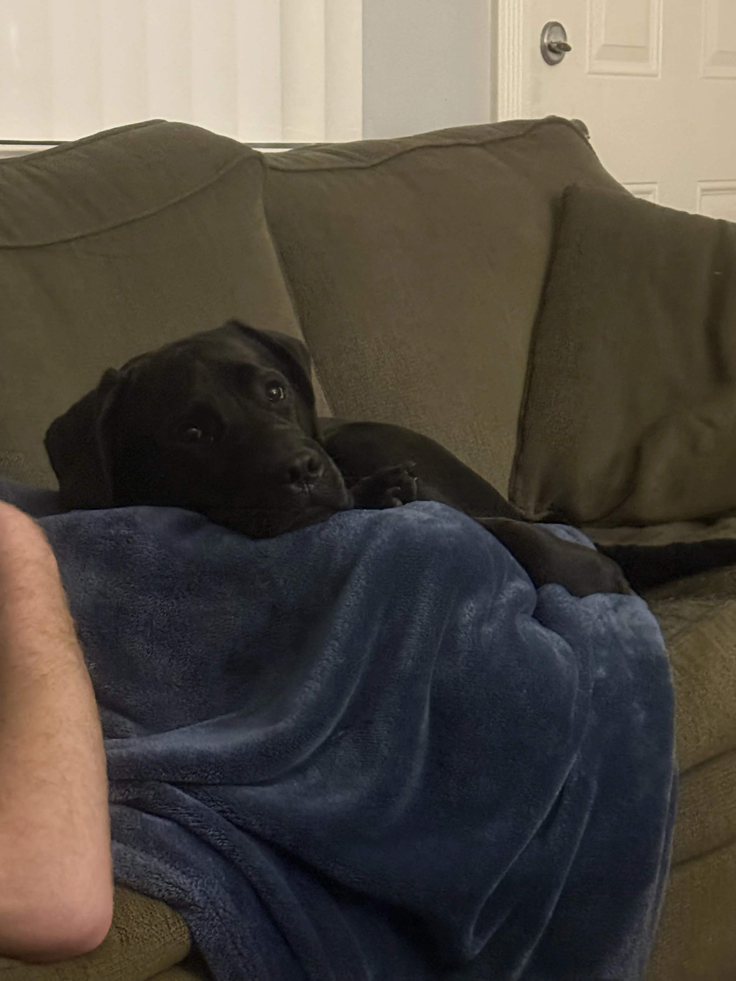 Tuck loves his cuddles