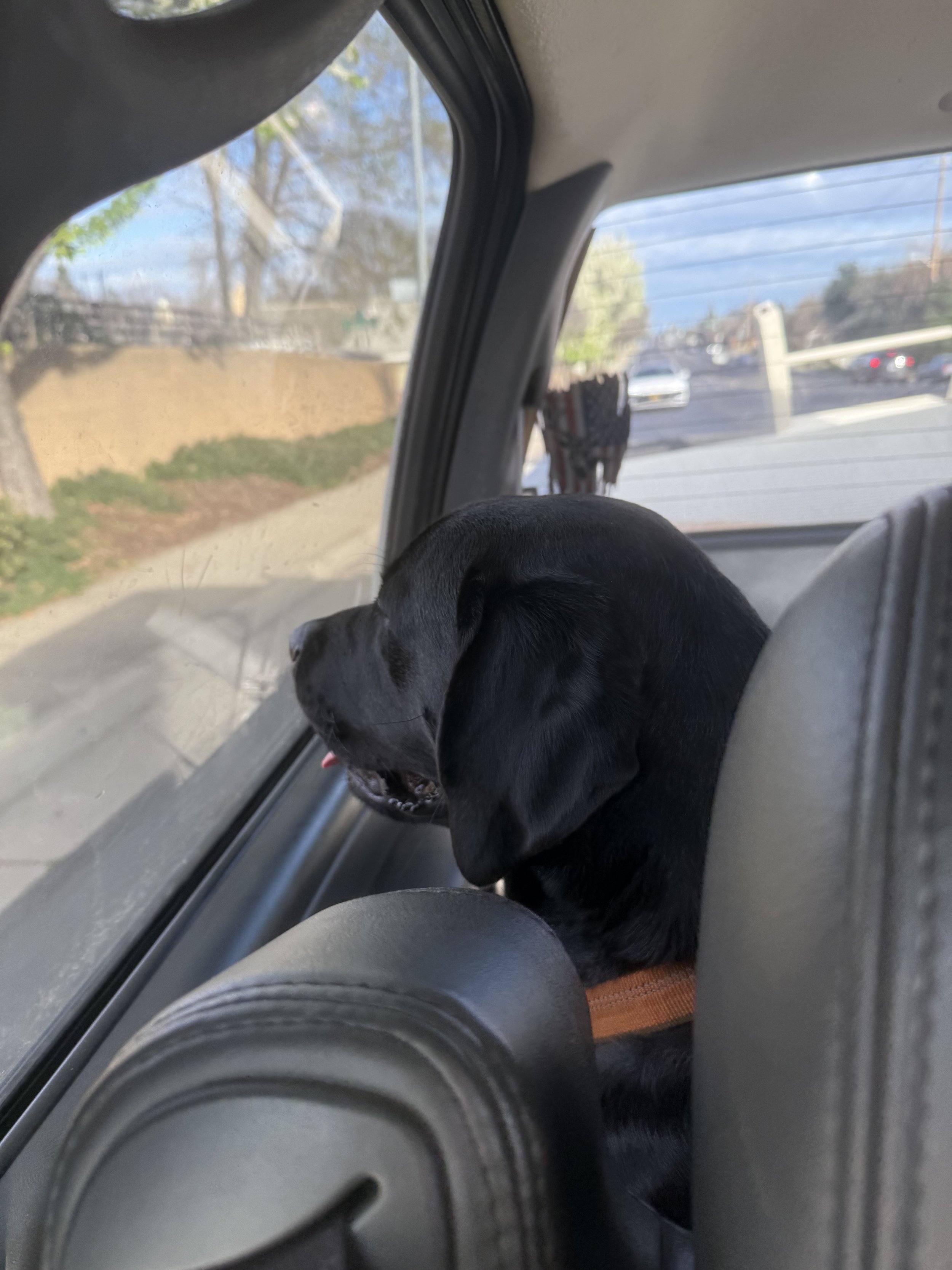 headed to my parents home!