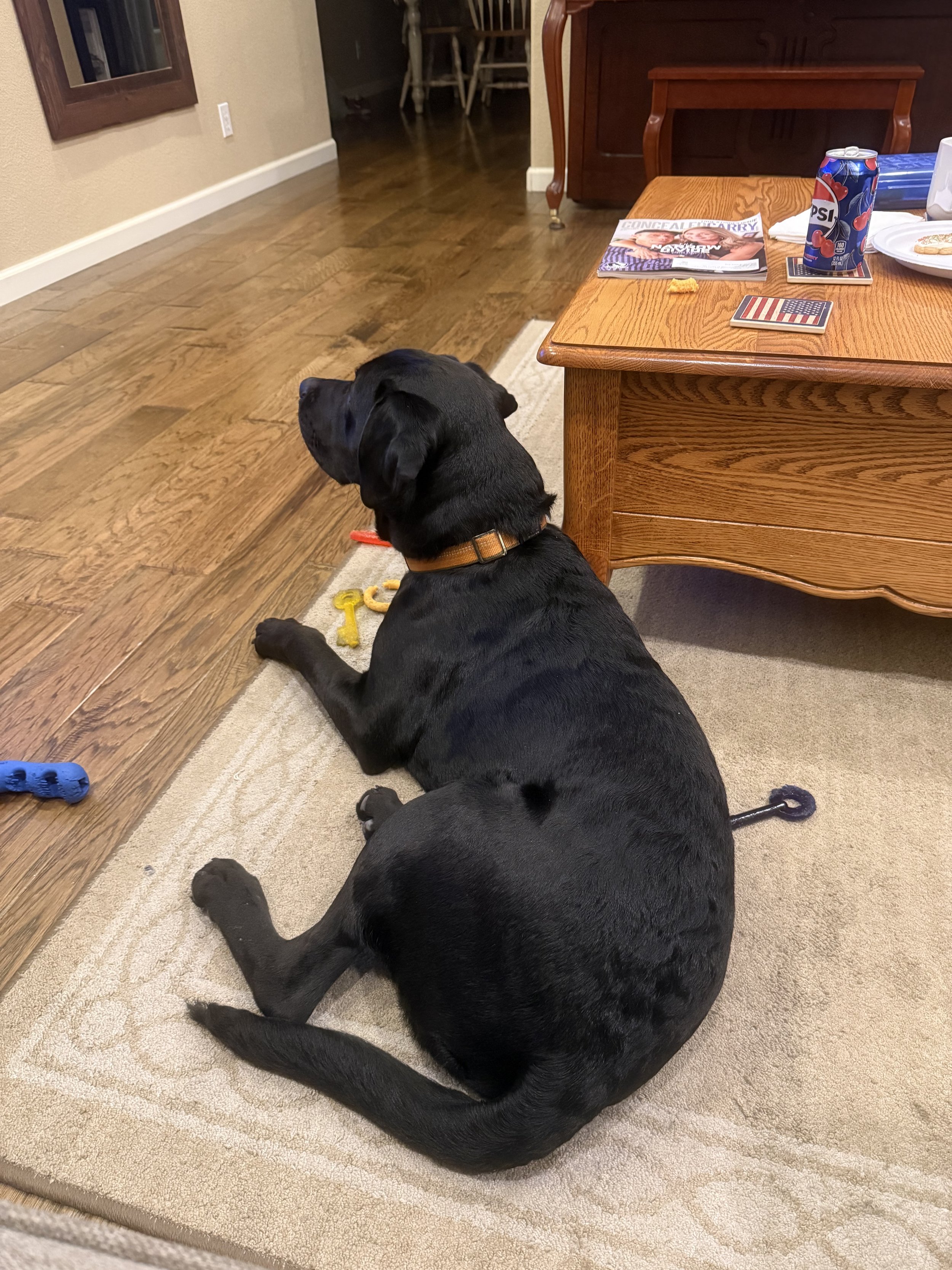 Tuck watchin' the game!