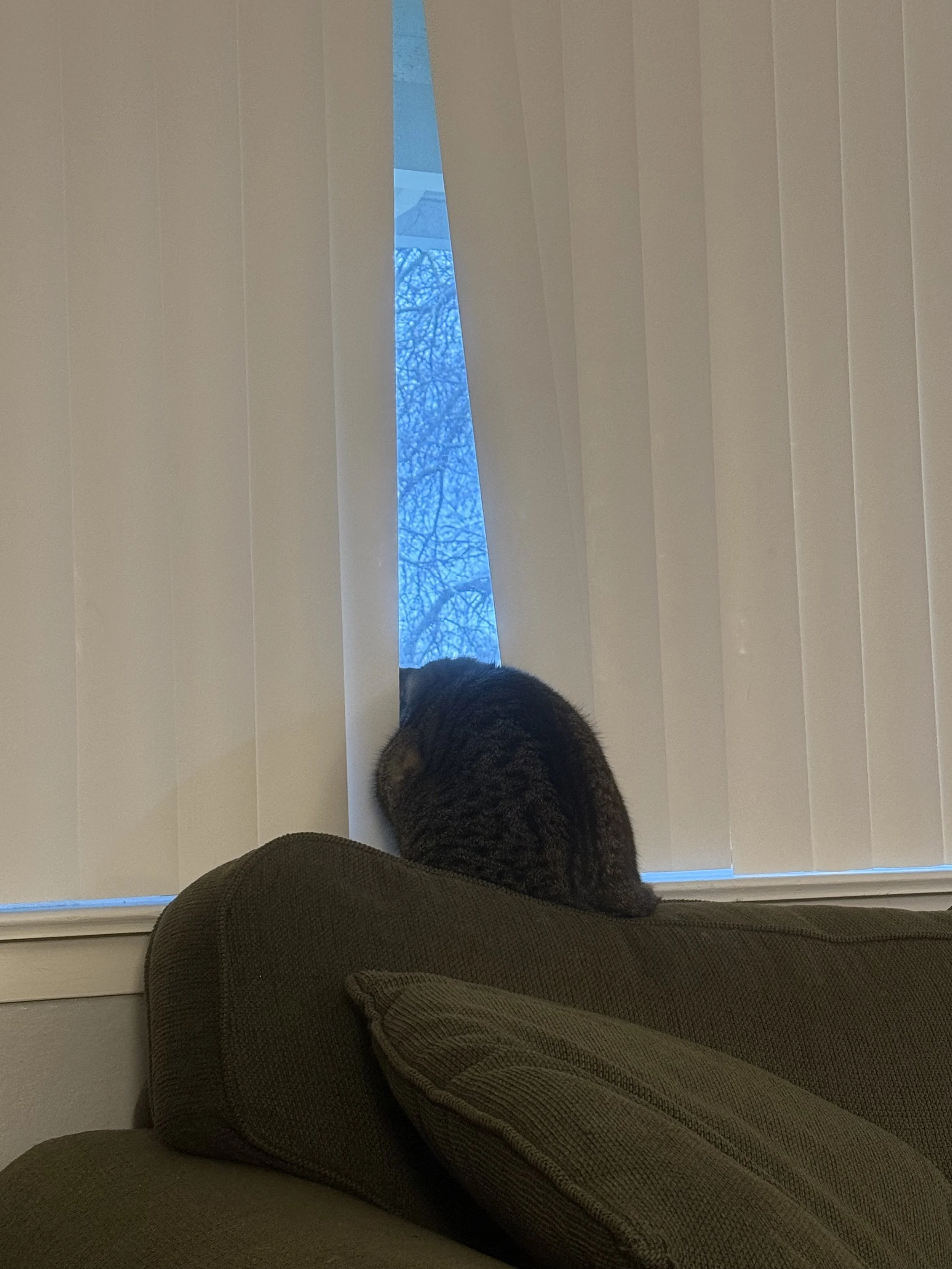 Banjo on look out duty