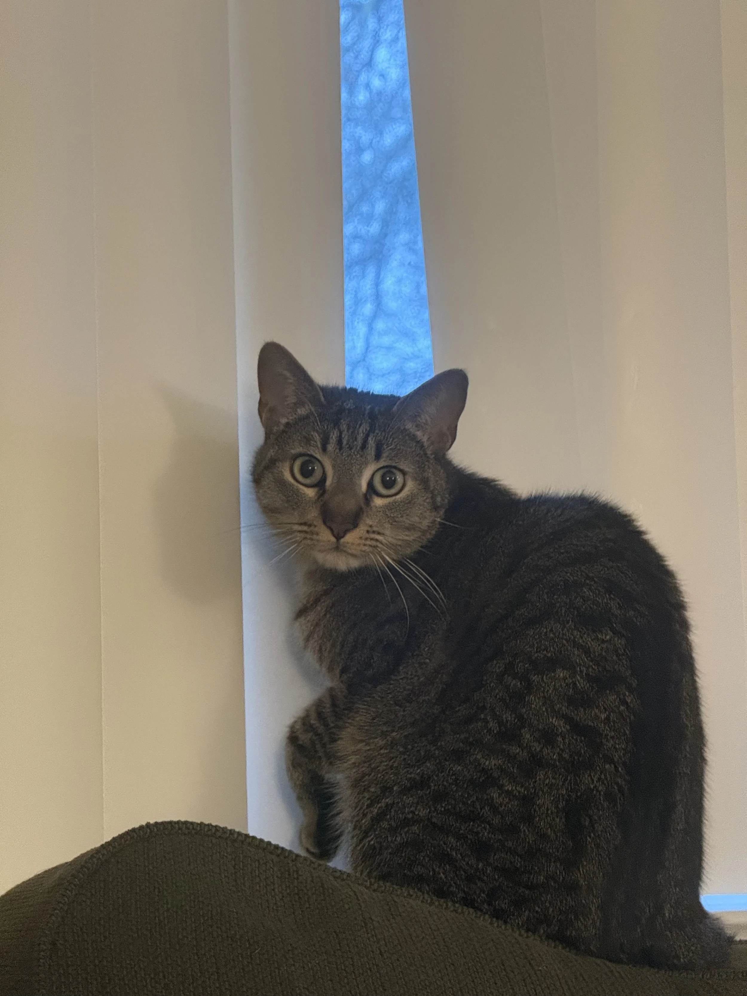 seems i have interrupted his work lol