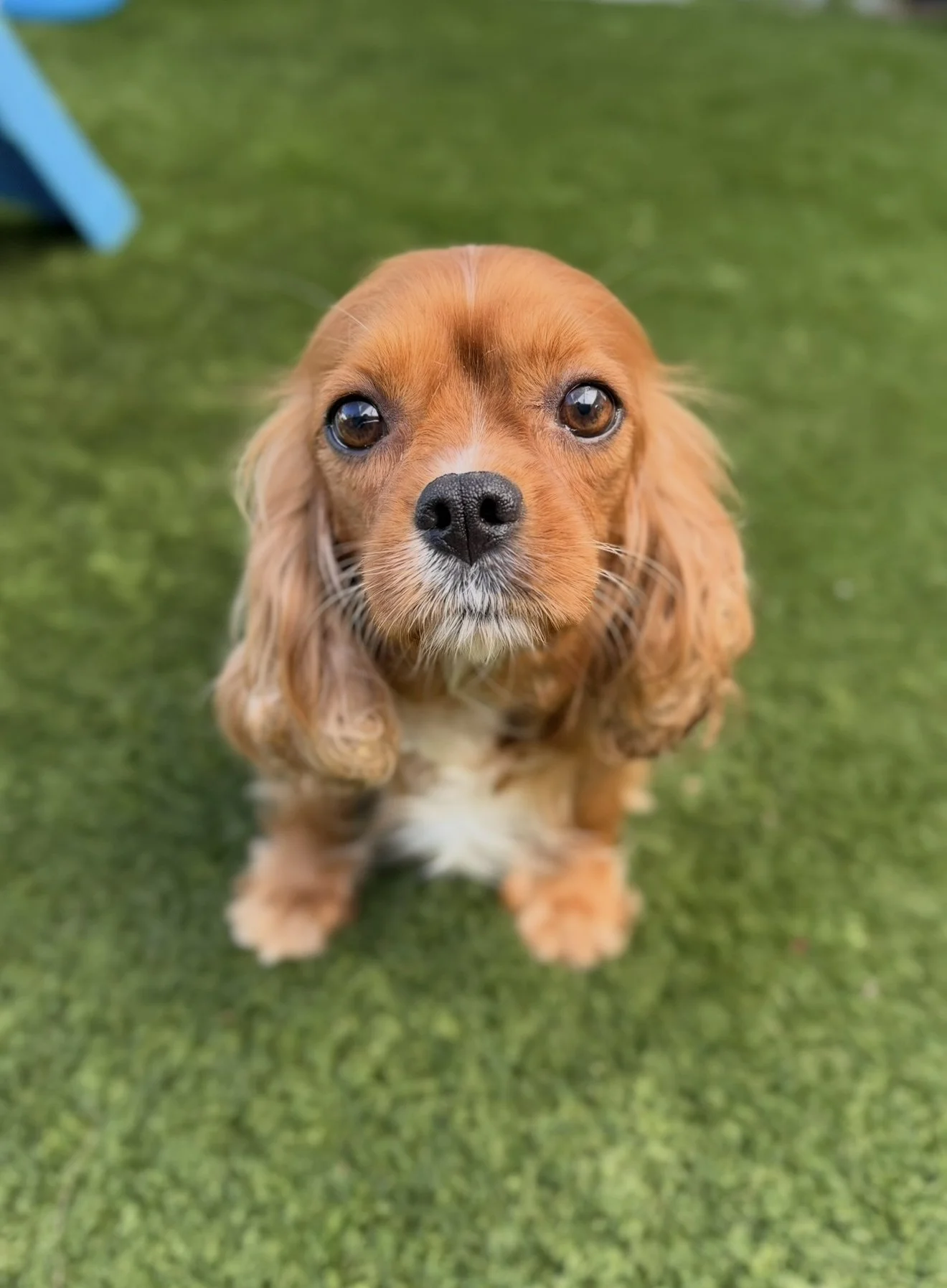 FullSizeRender 3.JPG