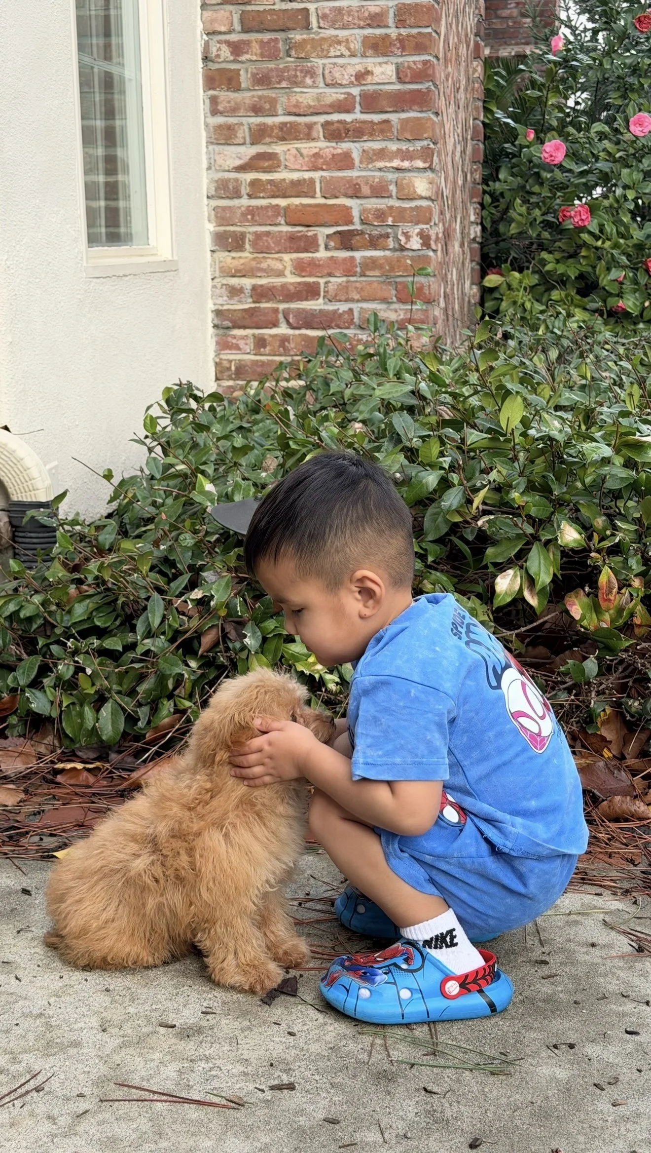 FullSizeRender 4.JPG