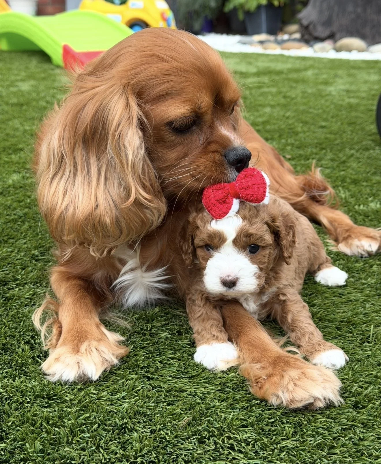 FullSizeRender 12.JPG