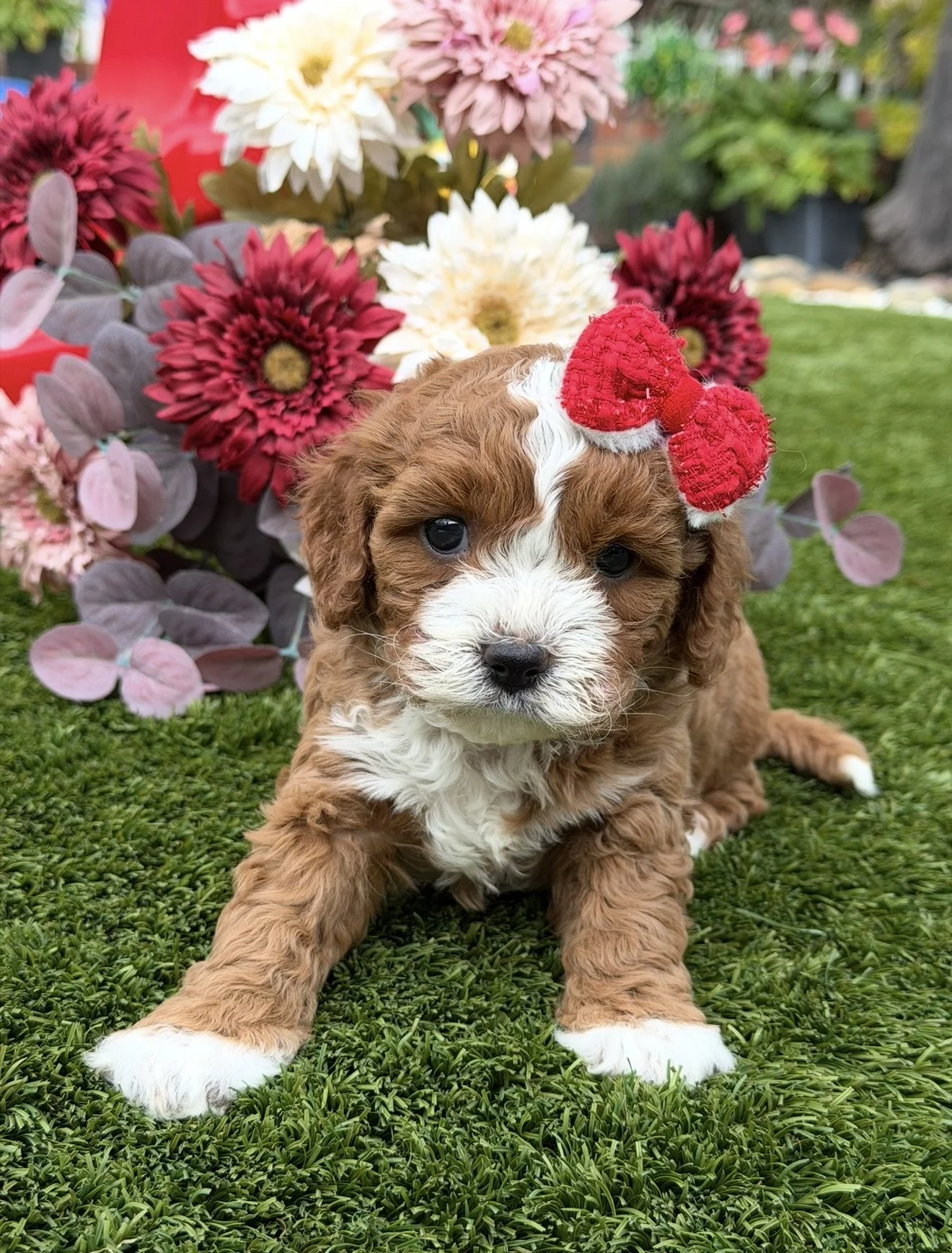 FullSizeRender 14.JPG