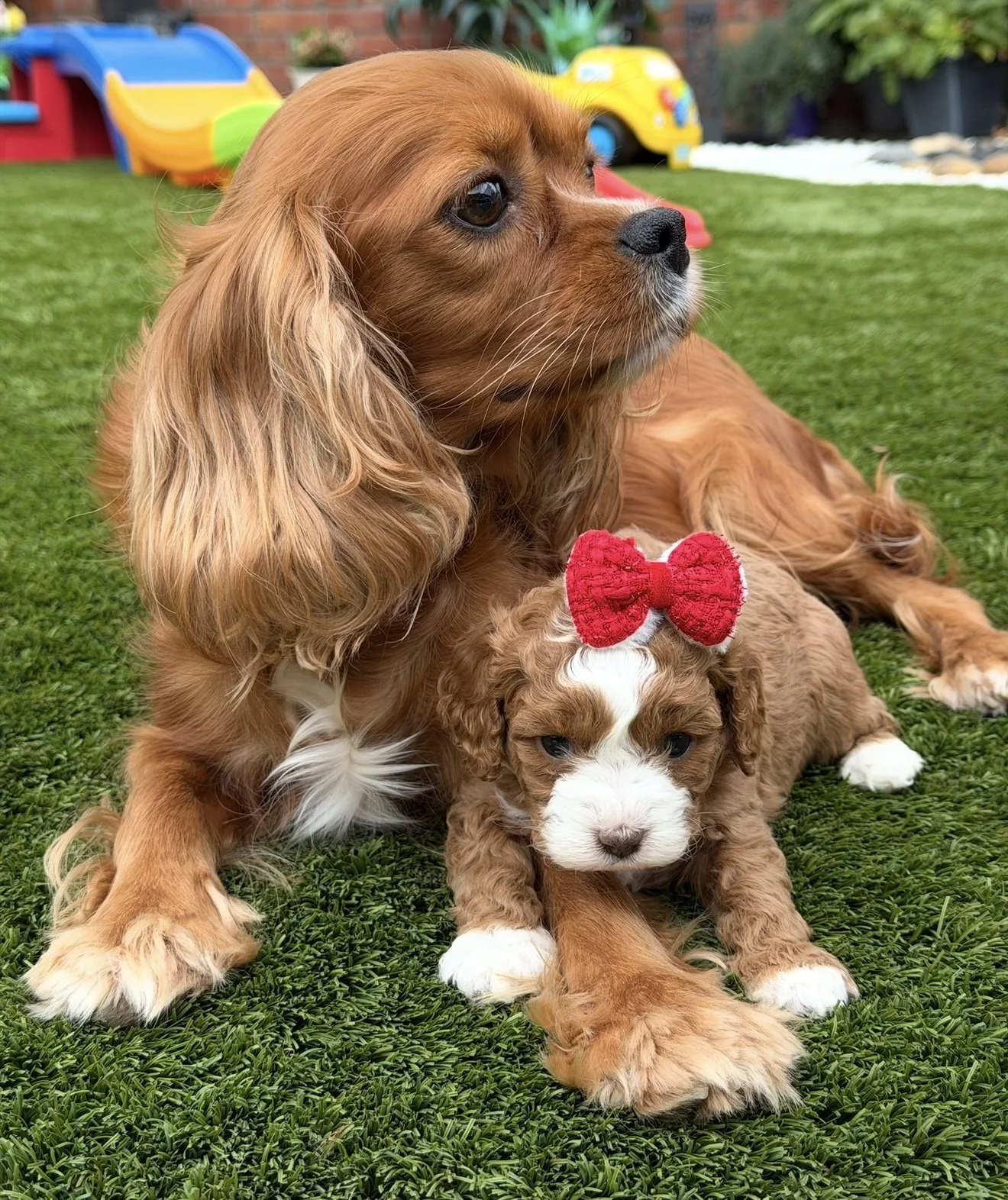 FullSizeRender 15.JPG