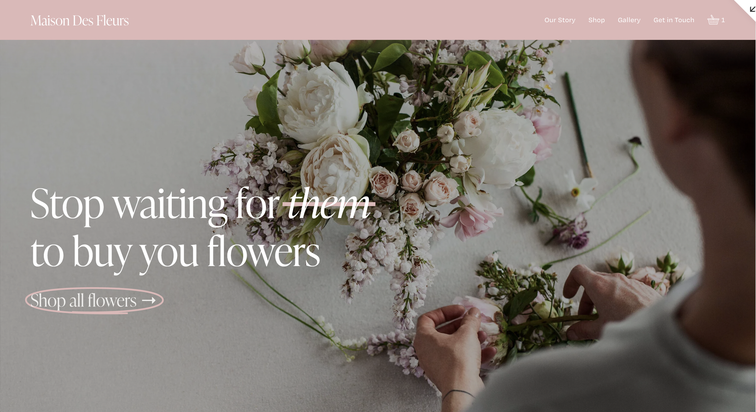 chapter-vii-website-design-agency-cheapest-fast-beautiful-female-led-ethical-buildable-easy-packages-uk-scotland-edinburgh-glasgow-fife-falirk-stirling-perth-inverness-highlands-england-london-liverpool-carlisle-oxford-cambridge-wales-21