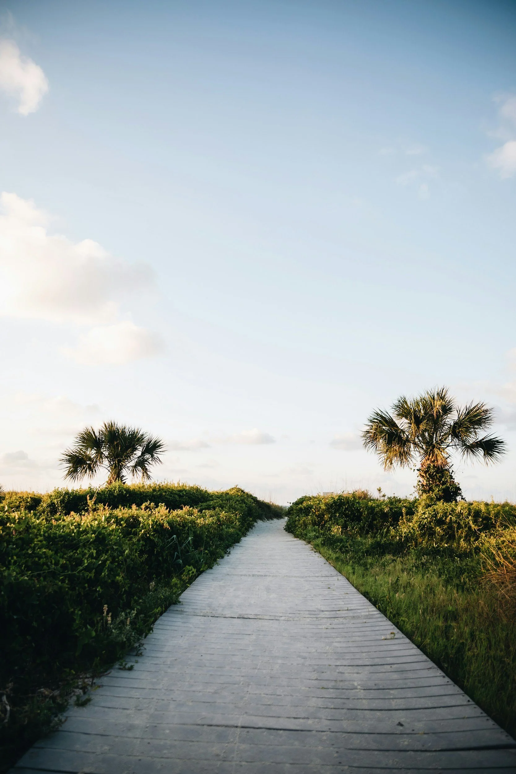 A wooden pathway leading through green bushes with palm trees on either side under a partly cloudy sky.