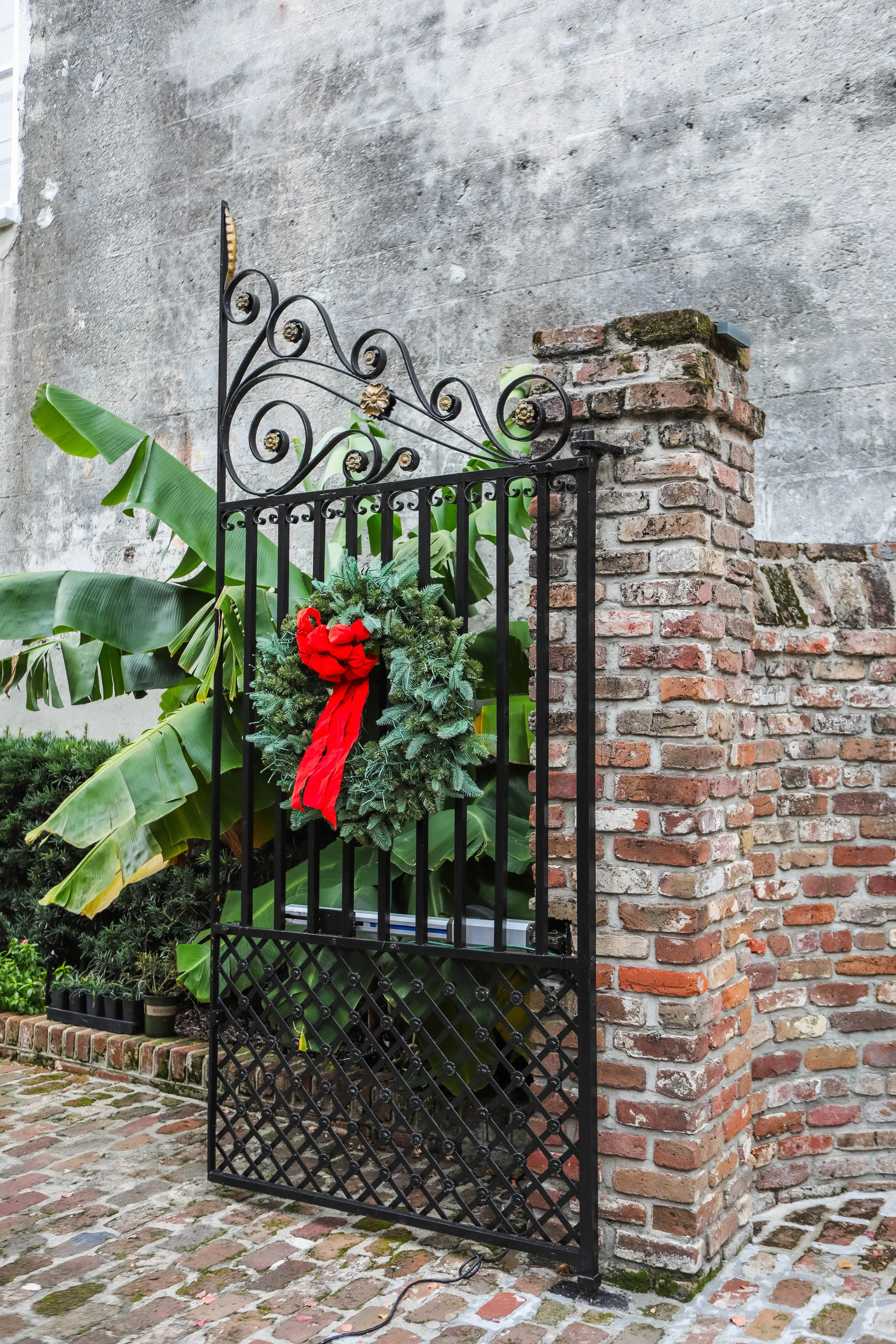 Your Carolina Christmas Guide