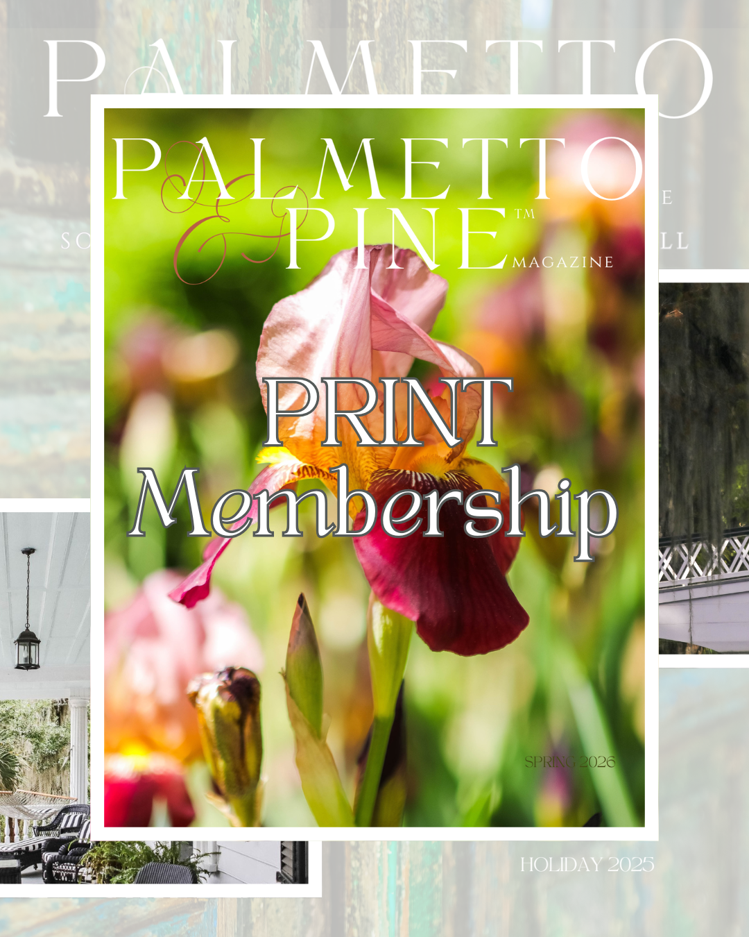 Elegant Timeless Classic Seamless Photo Feature Instagram Carousel.png