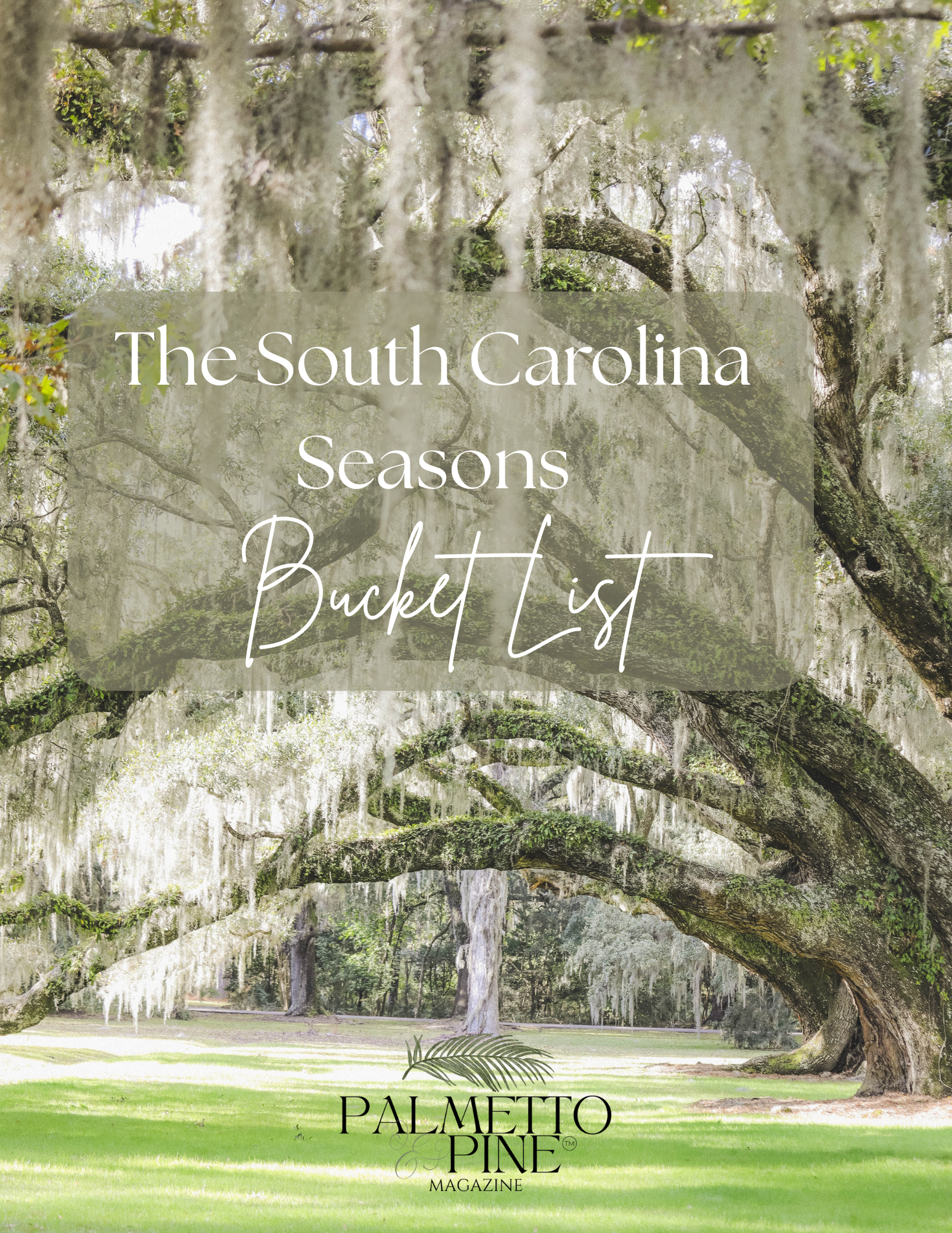 The South Carolina Seasonal Bucket List