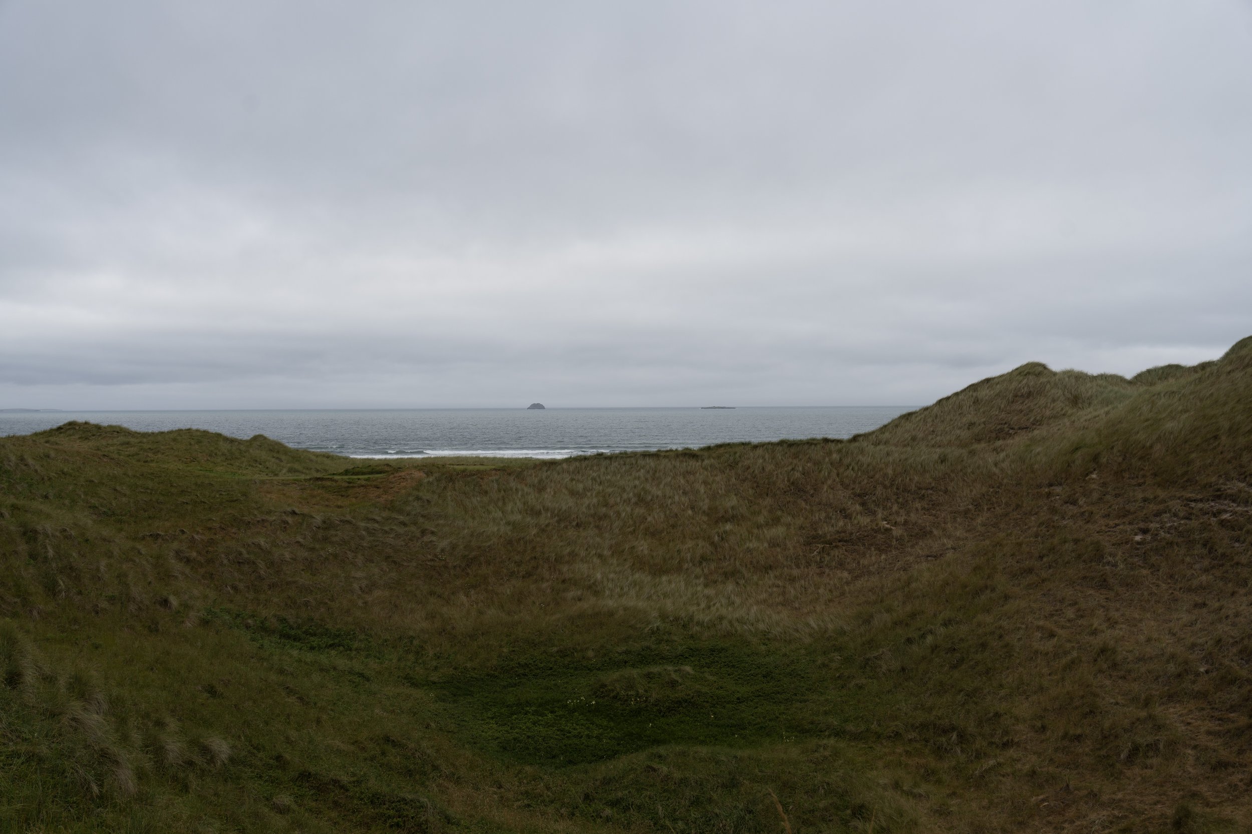 18-DSC01558.jpg