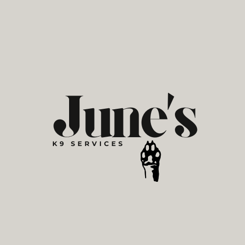 June's K9 Services 