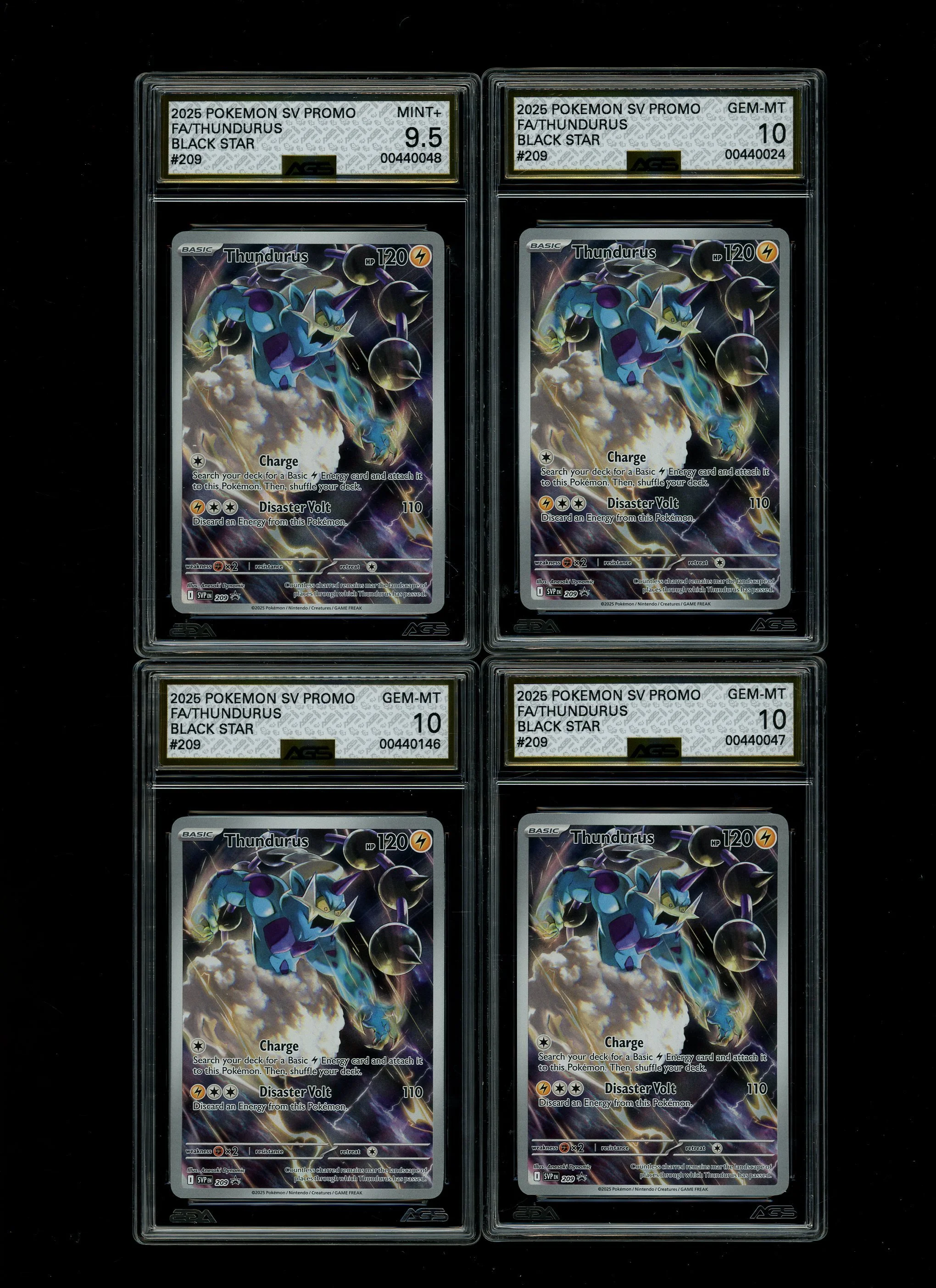 00465.jpg
