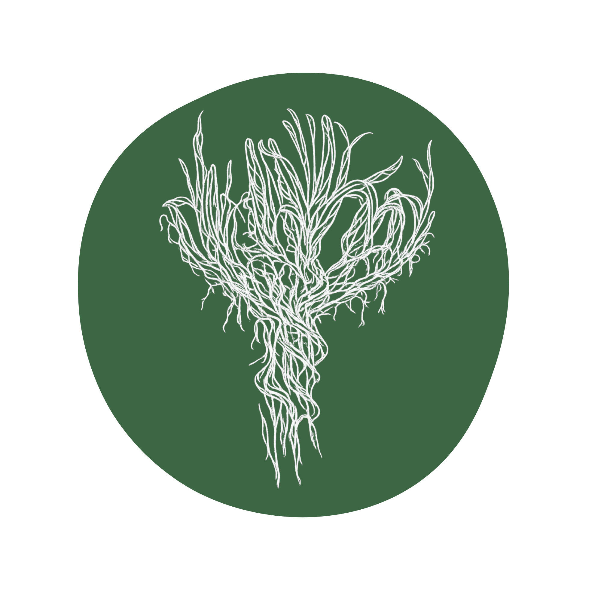 White line drawing of a plant with roots on a green circular background.