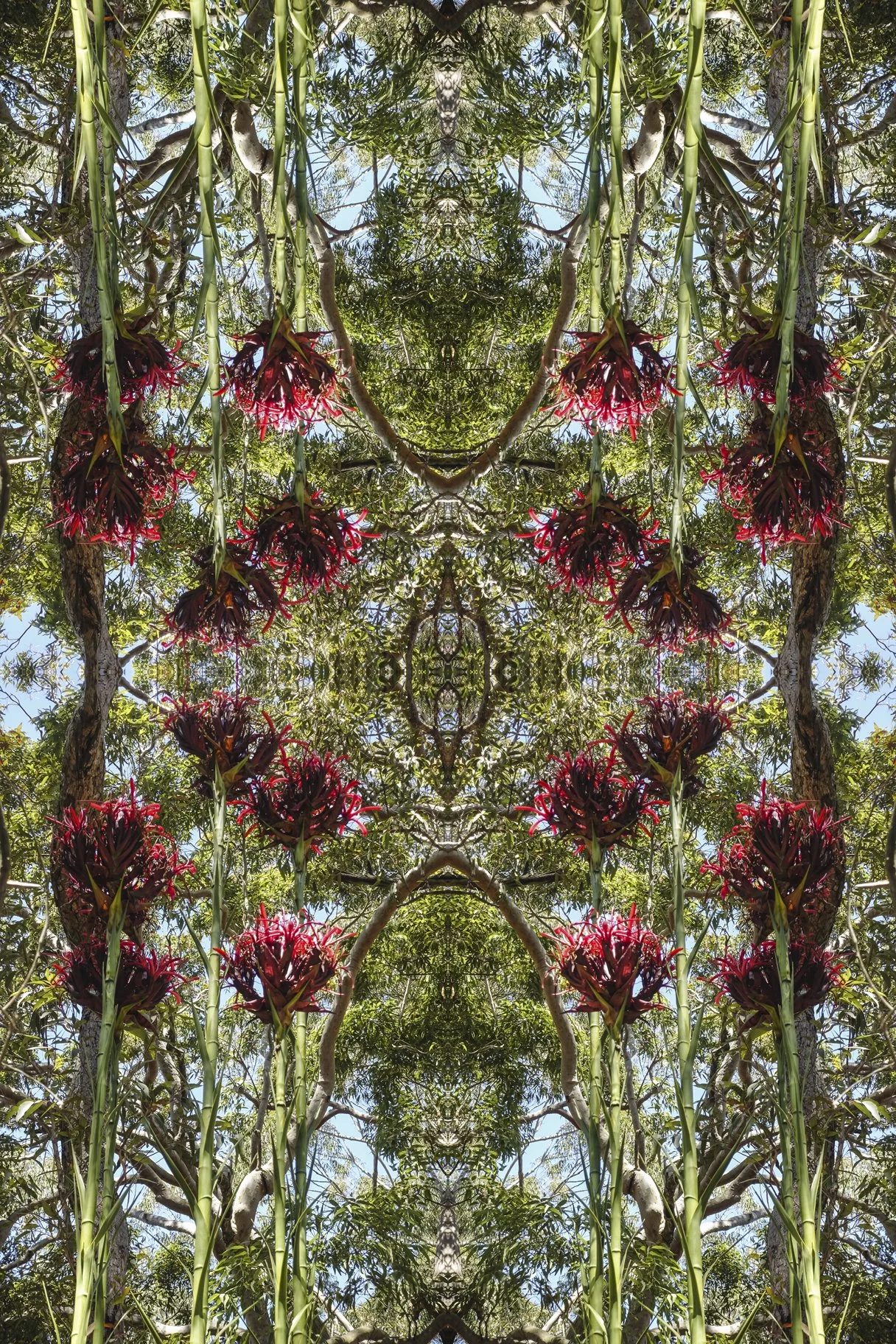 A symmetrical, kaleidoscopic pattern of a garden scene with green trees, red flowers, and blue sky.
