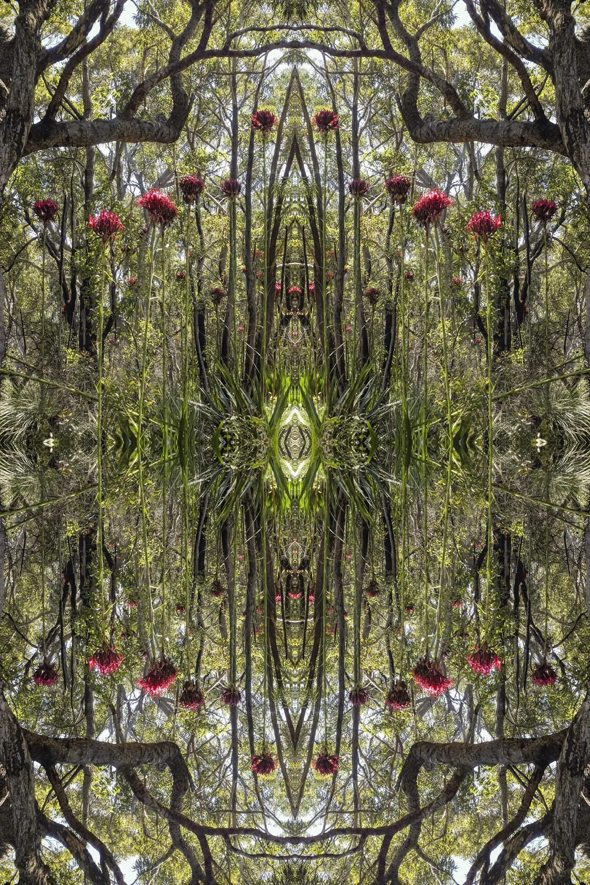 A digitally edited photo of a forest with trees and pink flowers, mirrored to create a symmetrical pattern, including reflections of tree branches, trunks, and foliage.