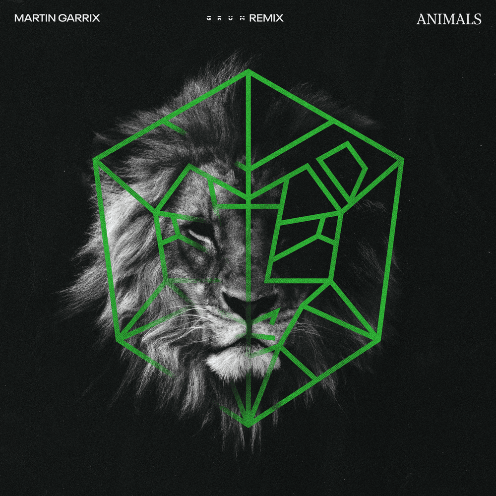 Martin Garrix - Animals