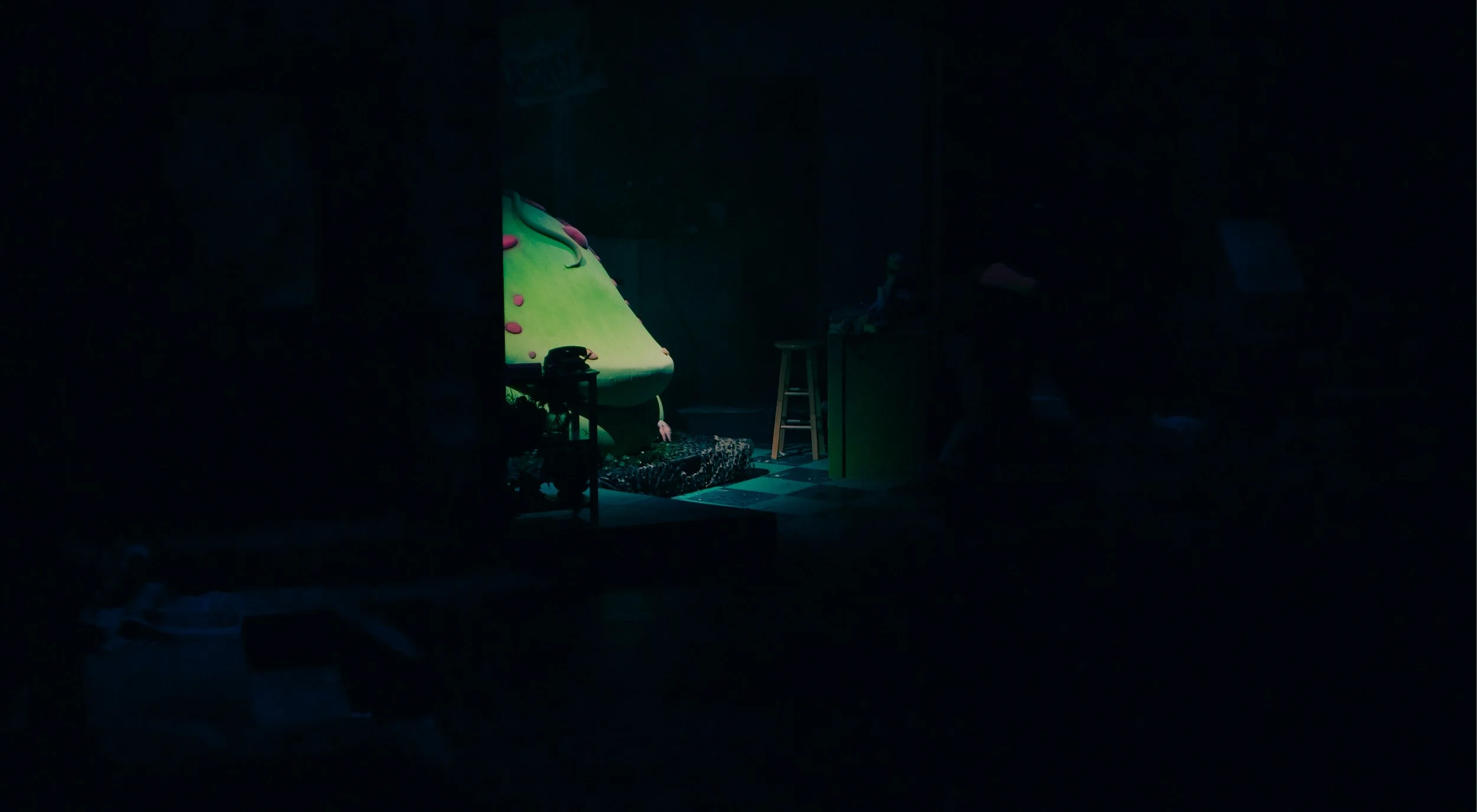 LSOH Edit 1-27.jpg