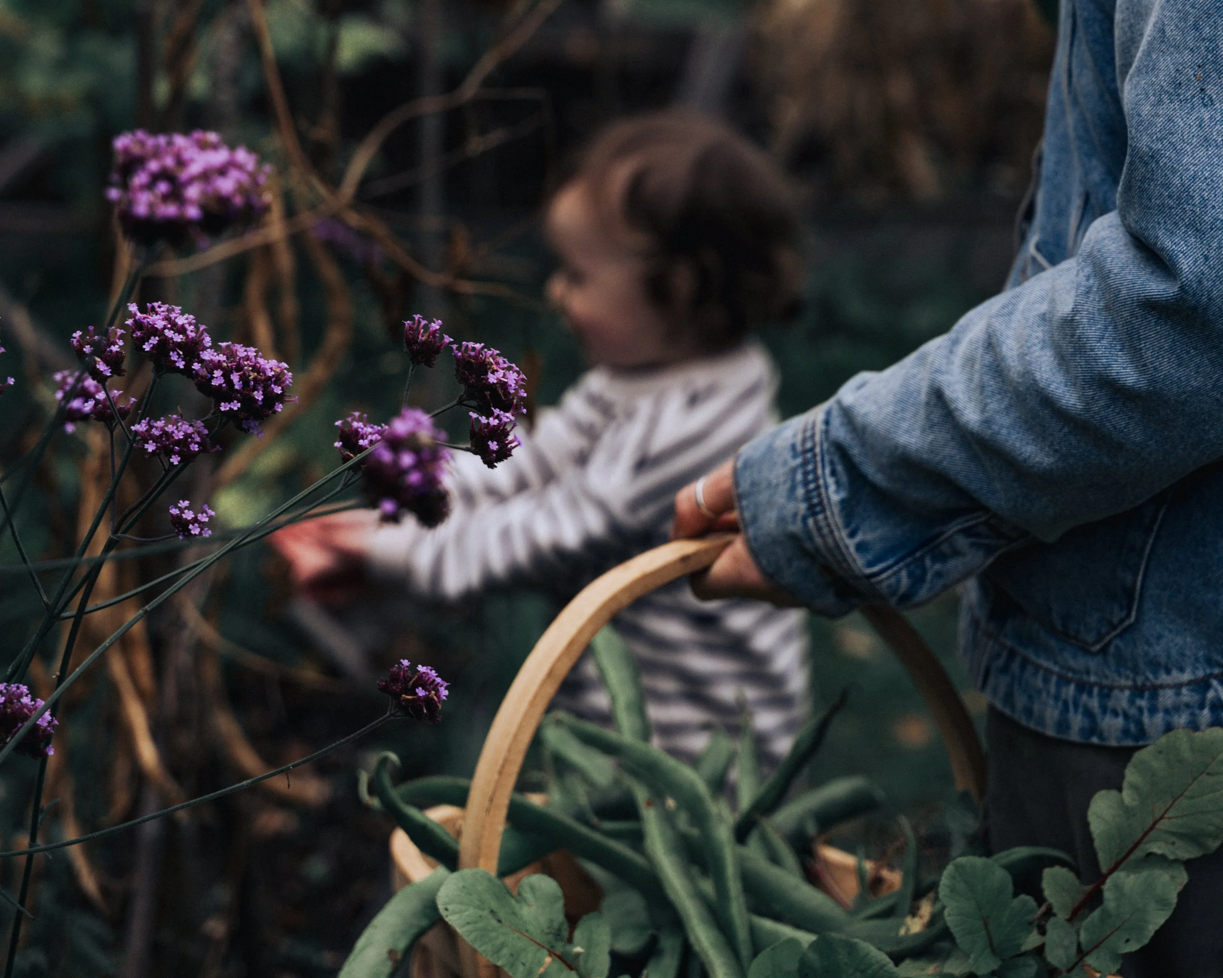 Butler-Hubbard Fam Shoot-63.jpg