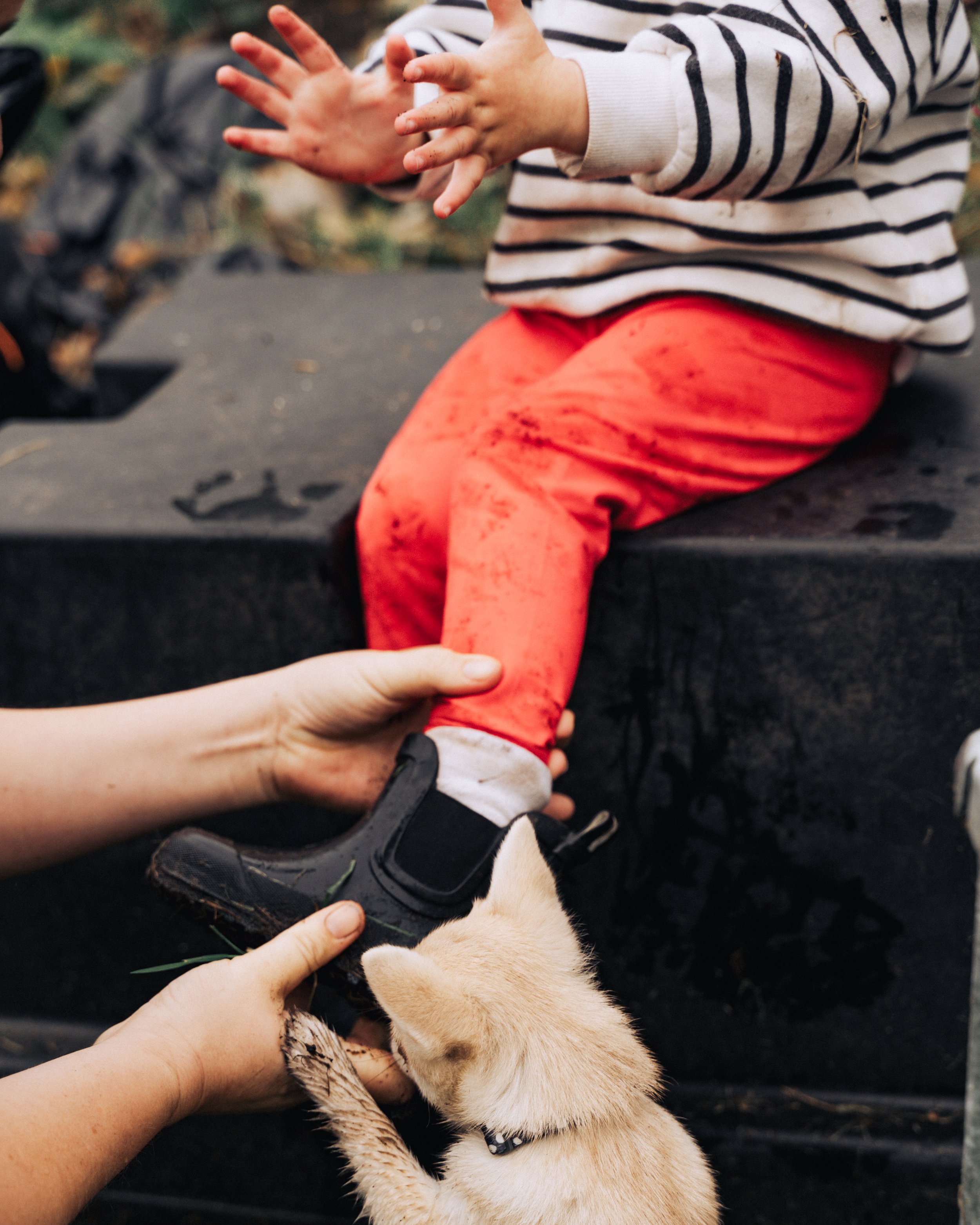 Butler-Hubbard Fam Shoot-15.jpg