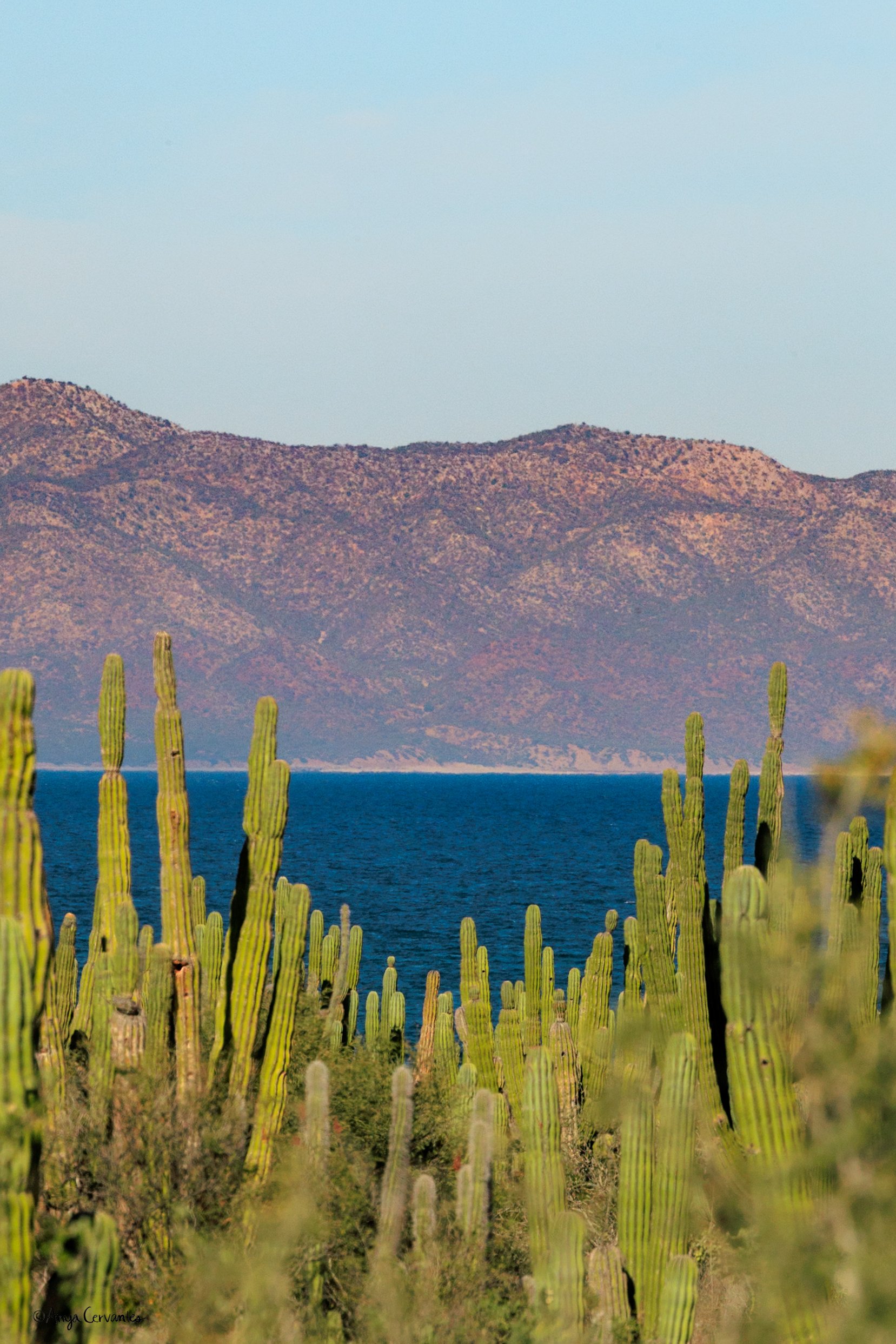 LaVentana-2.13.26-AC-1 61.JPG