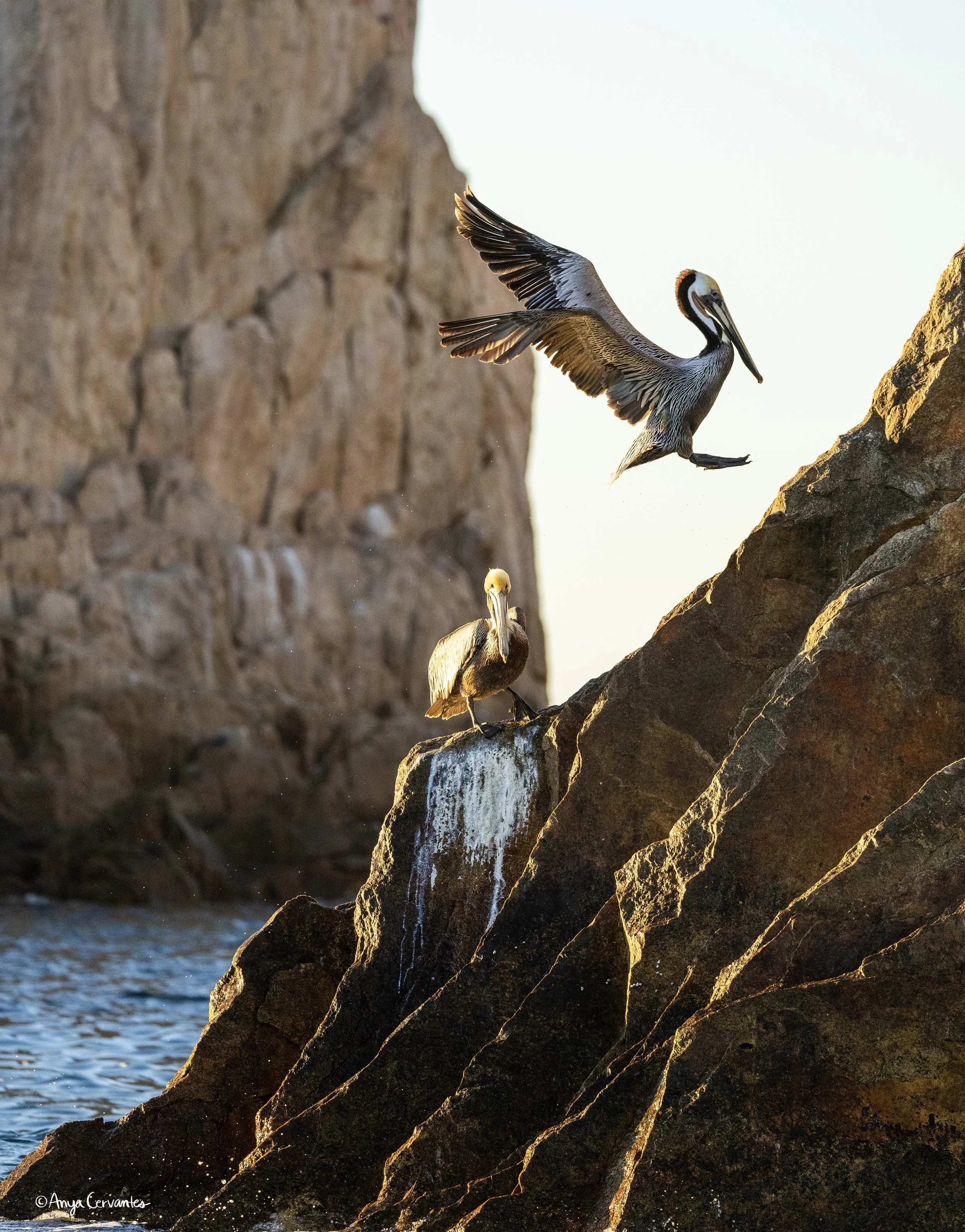 CaboSanLucas-2.18.26-AC-1.jpg