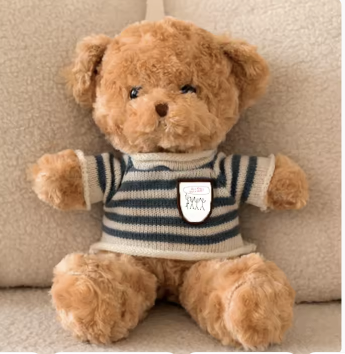 Be A Fren Not A Bully Teddy Bear