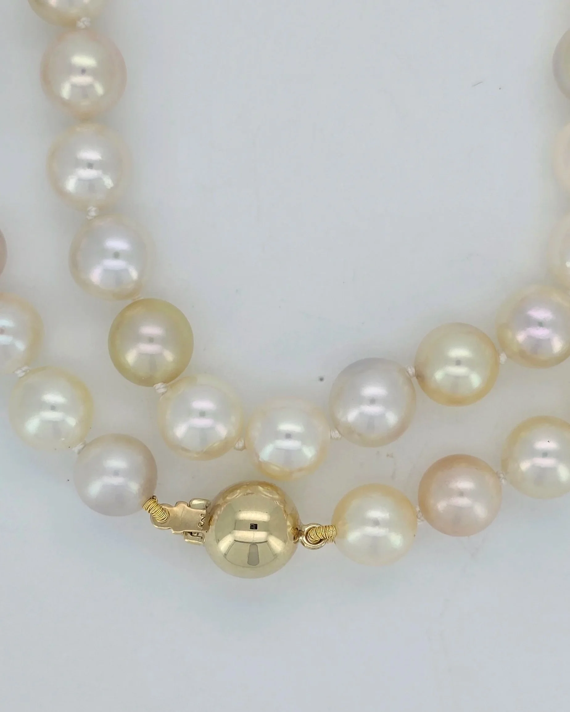 Multi-Color Akoya Pearl Necklace with Gold Clasp