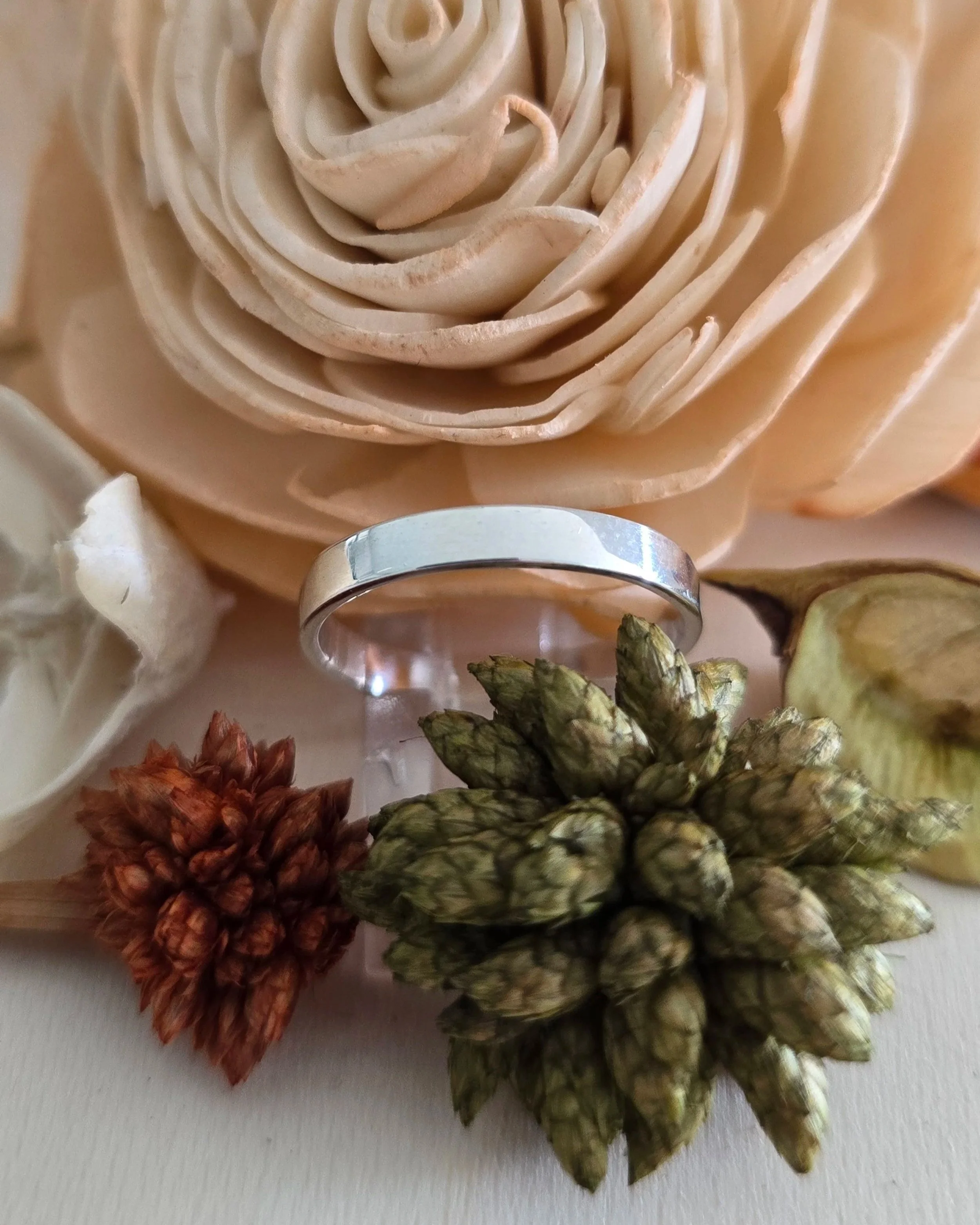 Silver 3mm Flat Band