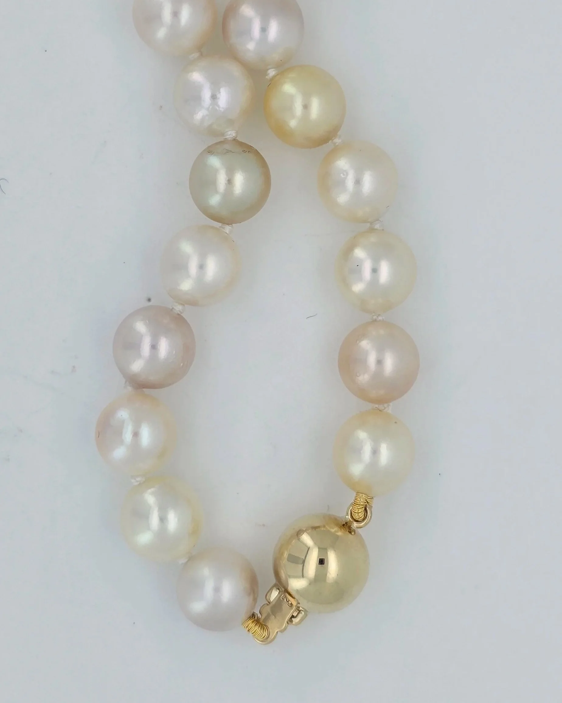 Multi-Color Akoya Pearl Necklace with Gold Clasp