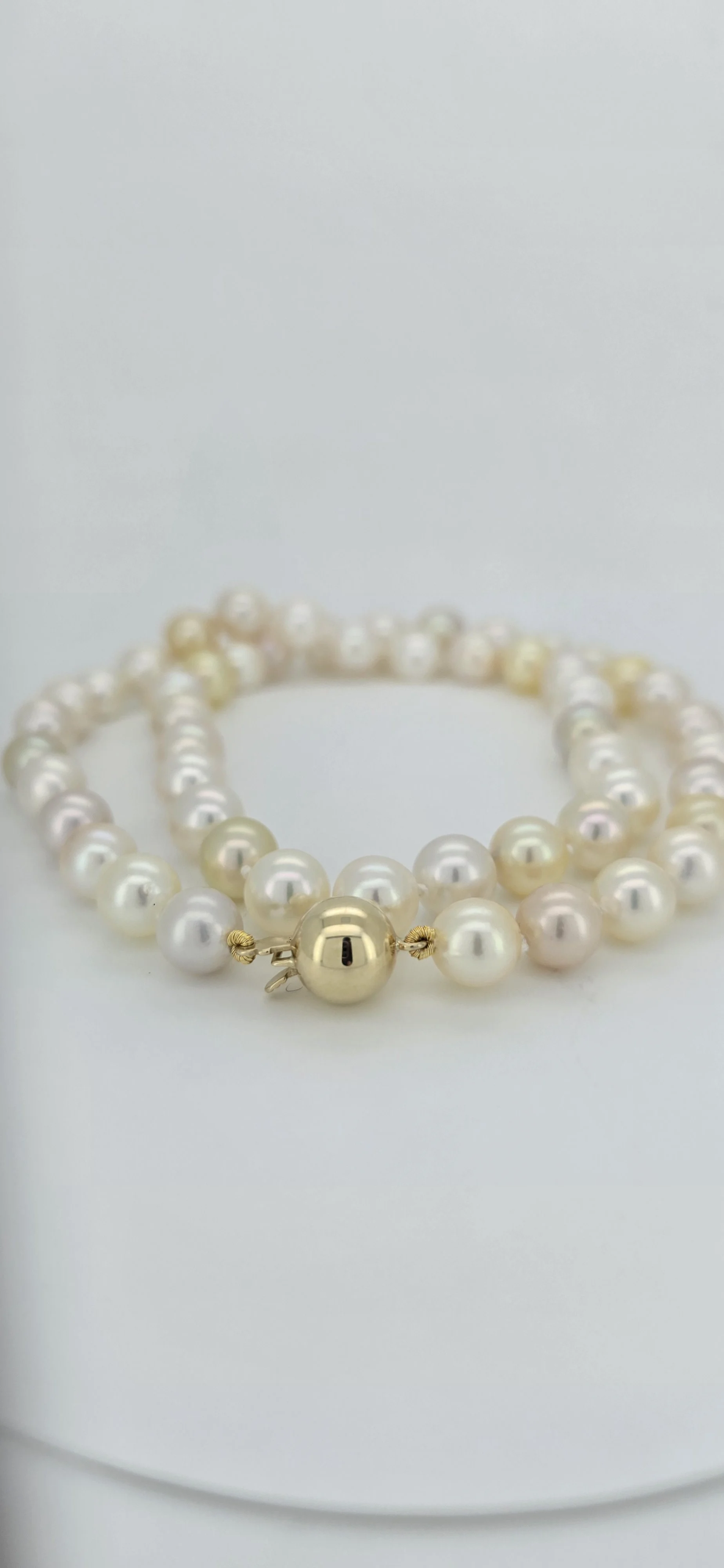 Multi-Color Akoya Pearl Necklace with Gold Clasp
