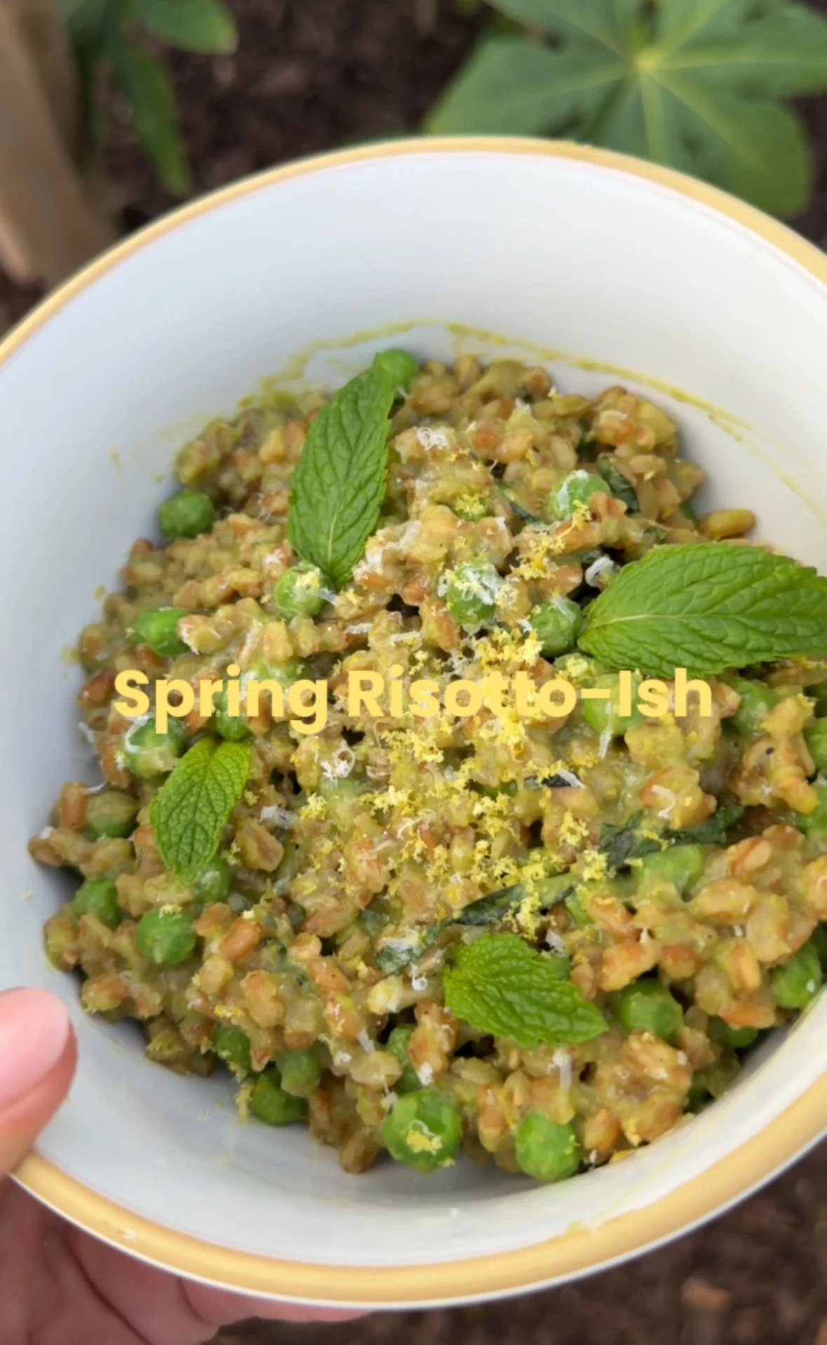 Spring Risotto-ish