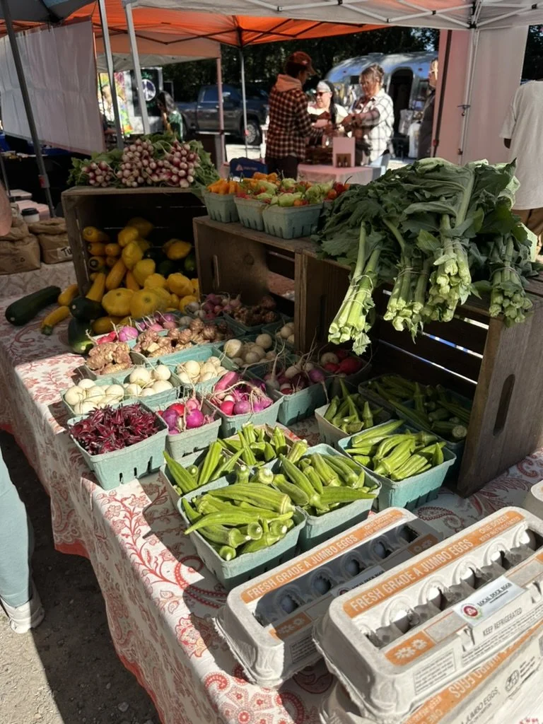 Understanding Hashimoto’s Disease and Hypothyroidism: A Dietitian’s Perspective