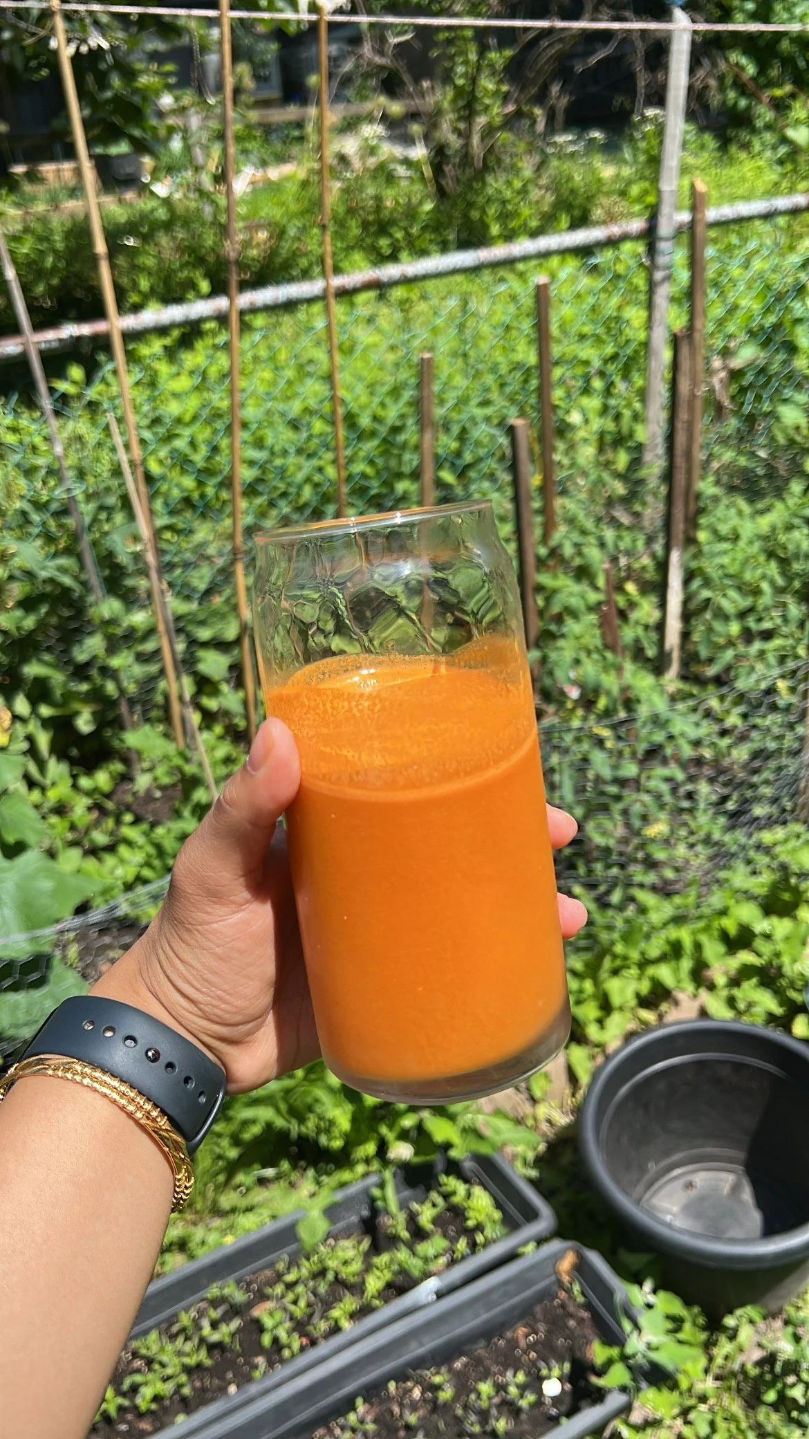 A hand holding a glass of orange juice outdoors in a garden with green plants and a wire fence in the background.