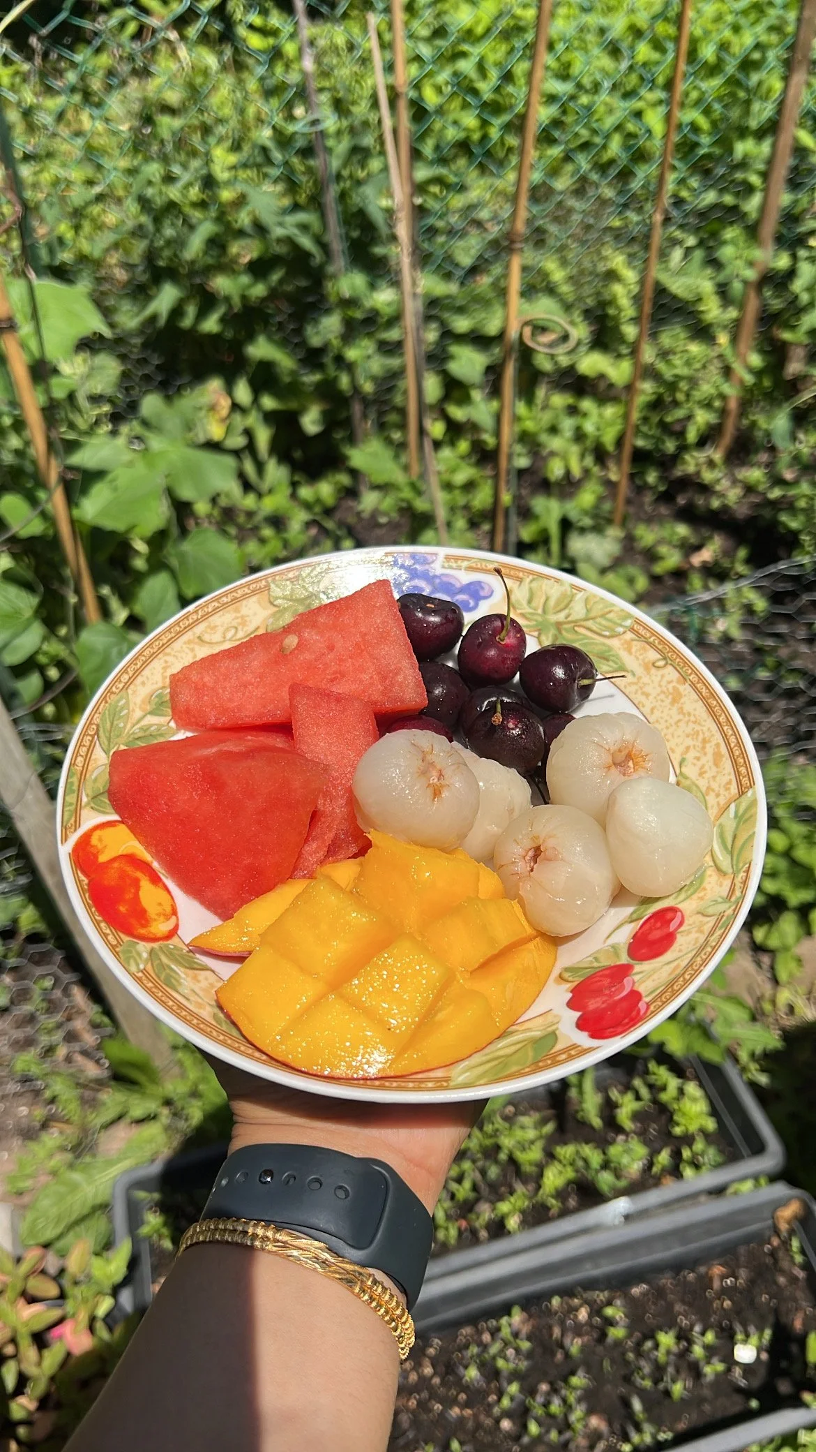A bowl of fresh sliced watermelon, mango, cherries, and lychee fruit held outdoors with a garden in the background.