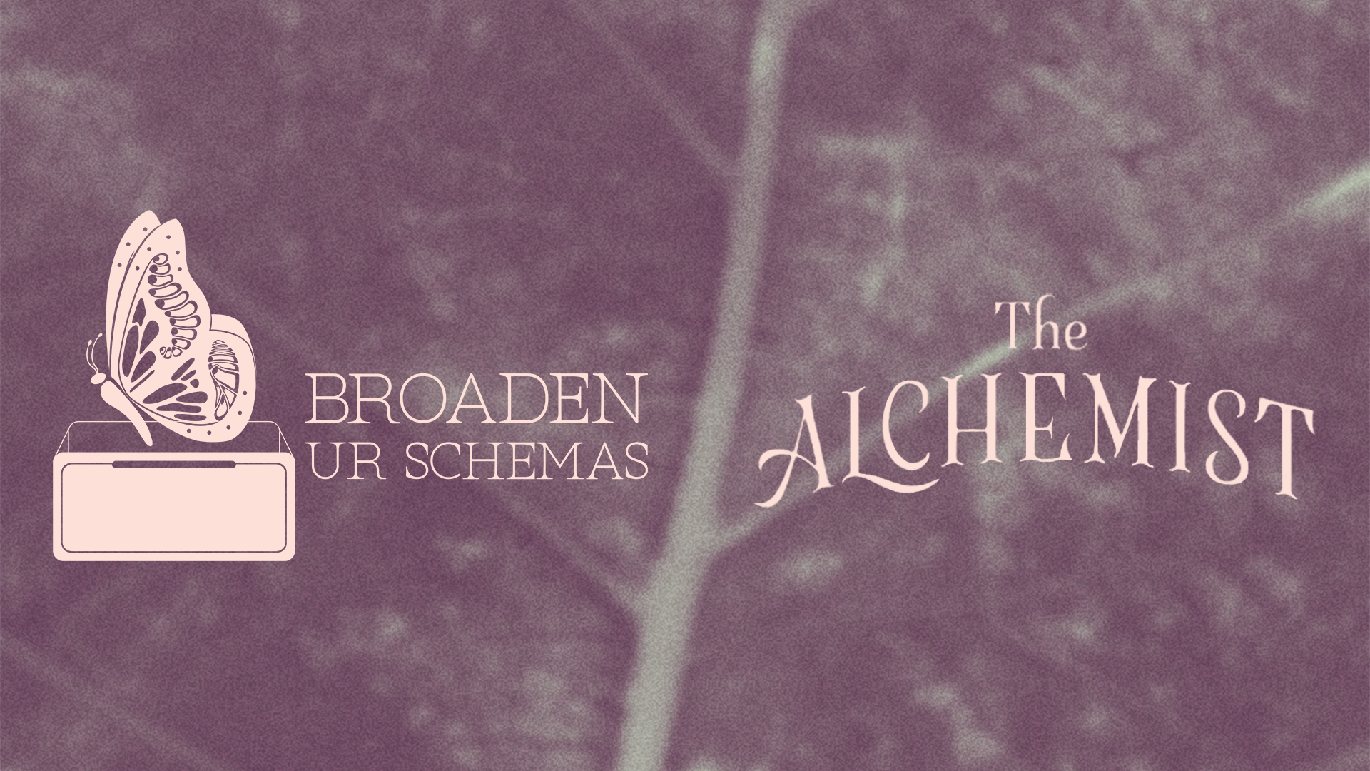 A purple background with a faint leaf pattern. On the left, an illustration of a butterfly with intricate patterns on its wings. To the right of the butterfly, the text reads 'BROADER UR SCHEMAS' in capital letters. To the right of that, the text says 'The ALCHEMIST' in a decorative font.
