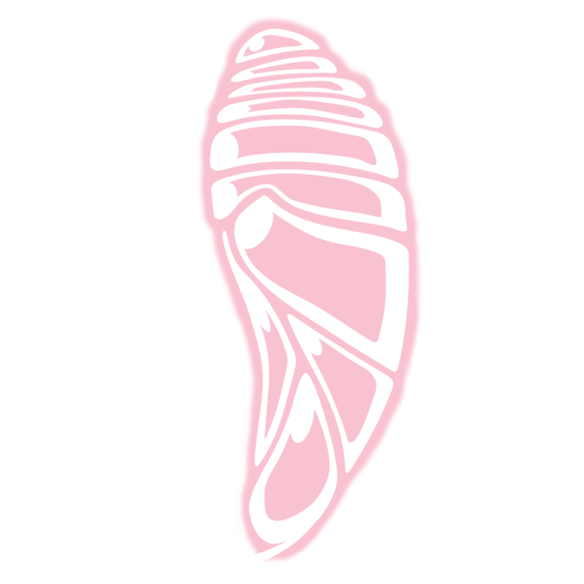 Illustration of a human foot with bones and tendons in pink and black to show anatomy.