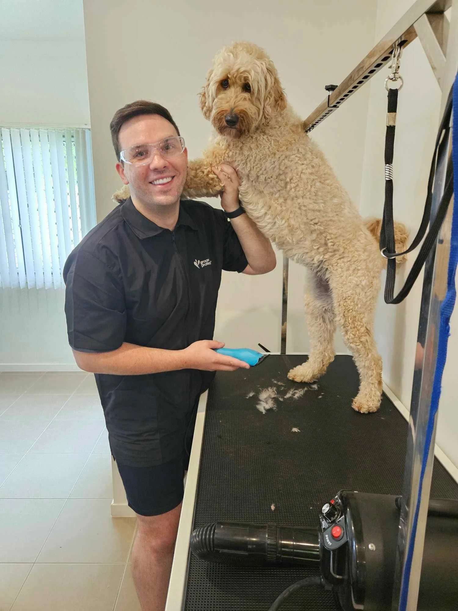 Professional dog groomer trimming golden Labradoodle on grooming table, expert dog grooming services Brisbane.