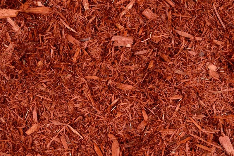 Close-up of reddish wood mulch or bark chips.