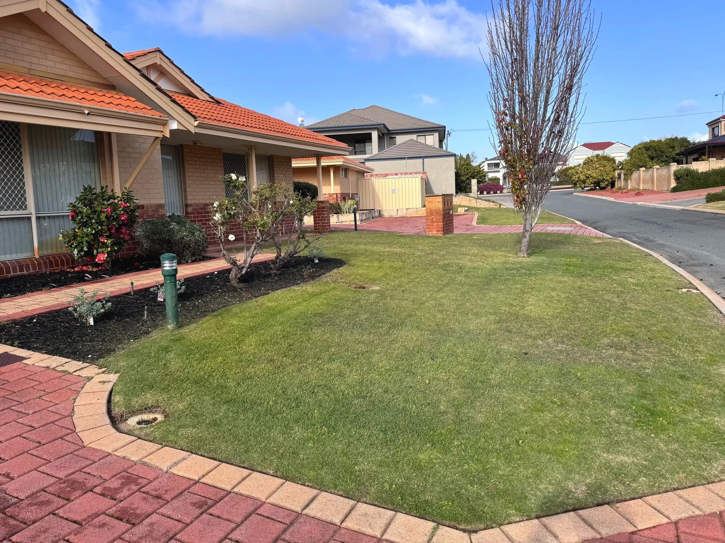 Residential front yard with green lawn, brick pathway, flowering bushes, and trees near houses on a sunny day.