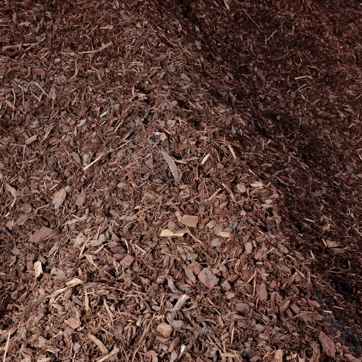 Close-up of reddish-brown mulch or wood chips on the ground.