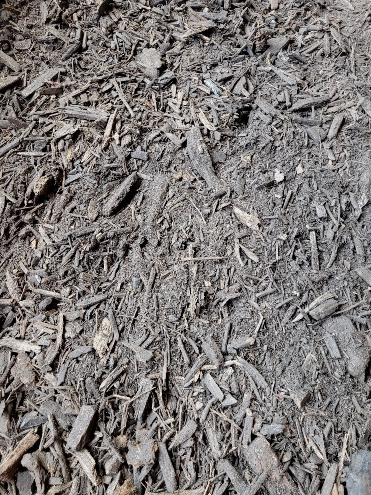 Close-up of dirt ground covered with wood chips, small twigs, and pieces of bark.