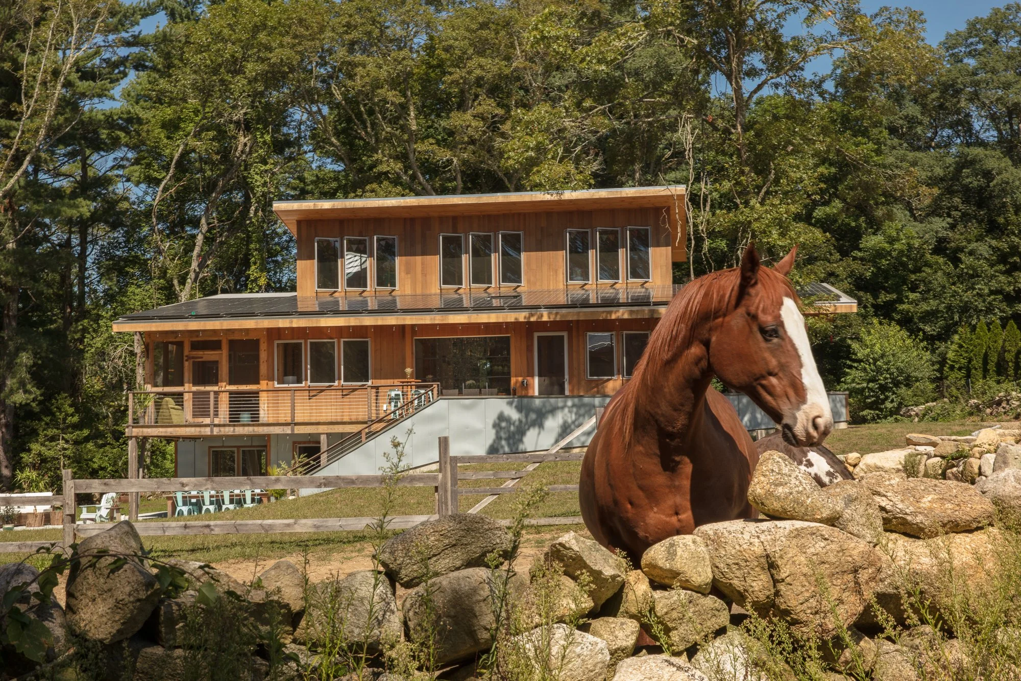Modern Farmstead