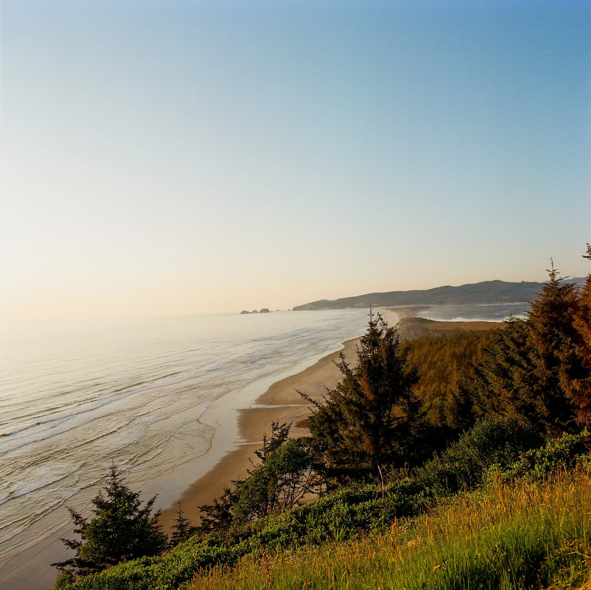 Calm, welcoming environment for Oregon telehealth sessions focused on relational trauma healing.