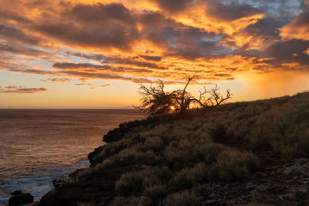 Tranquil sunset scene reflecting accessible therapy through OHP and insurance acceptance