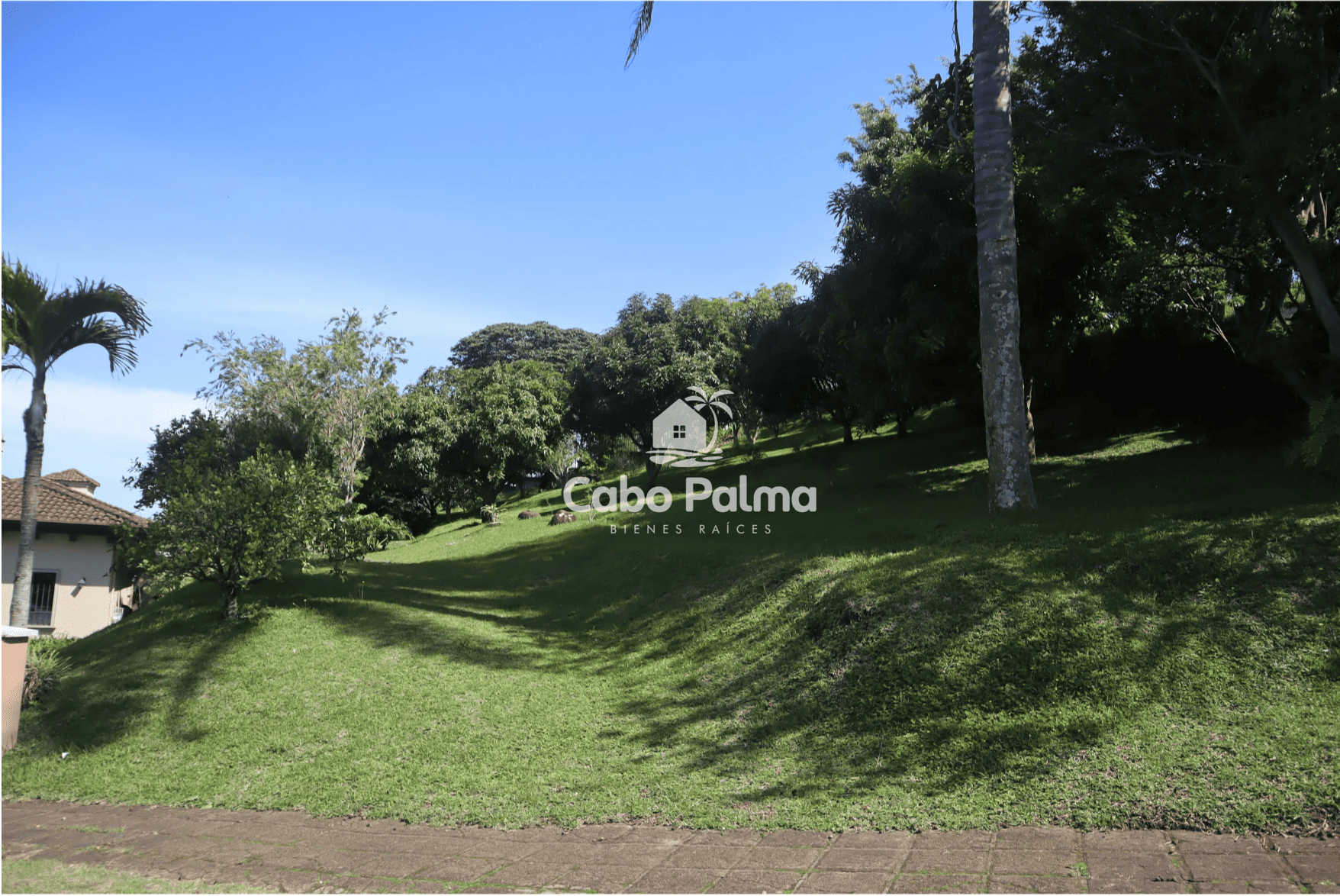 Guayacán Real Lote #4 | Lote 1 502 m2 | Código 2003