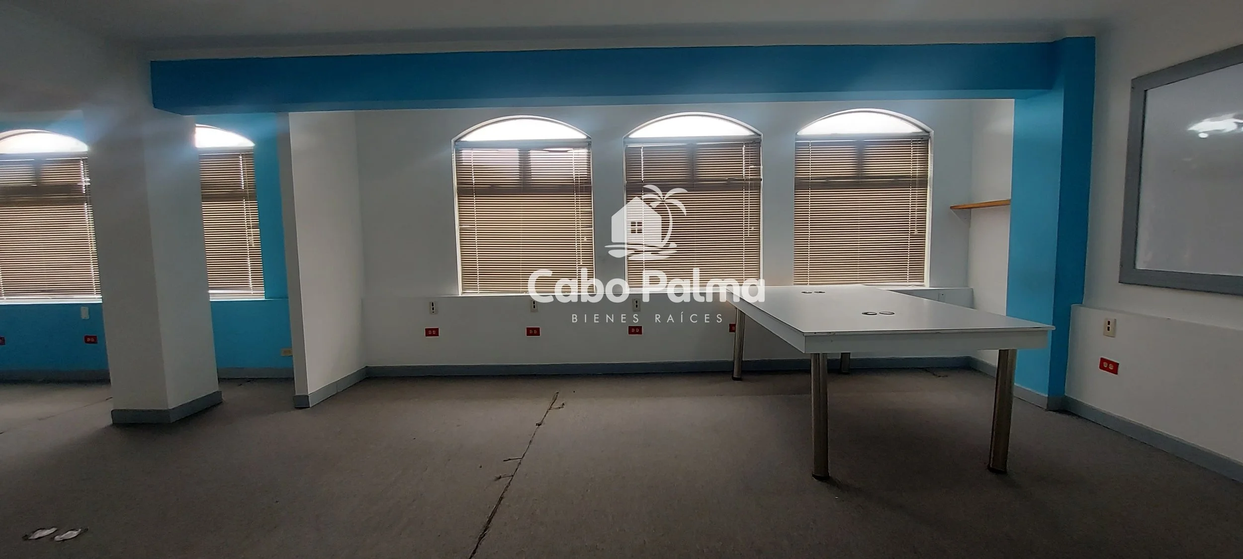 20250624_095637 - copia.jpg